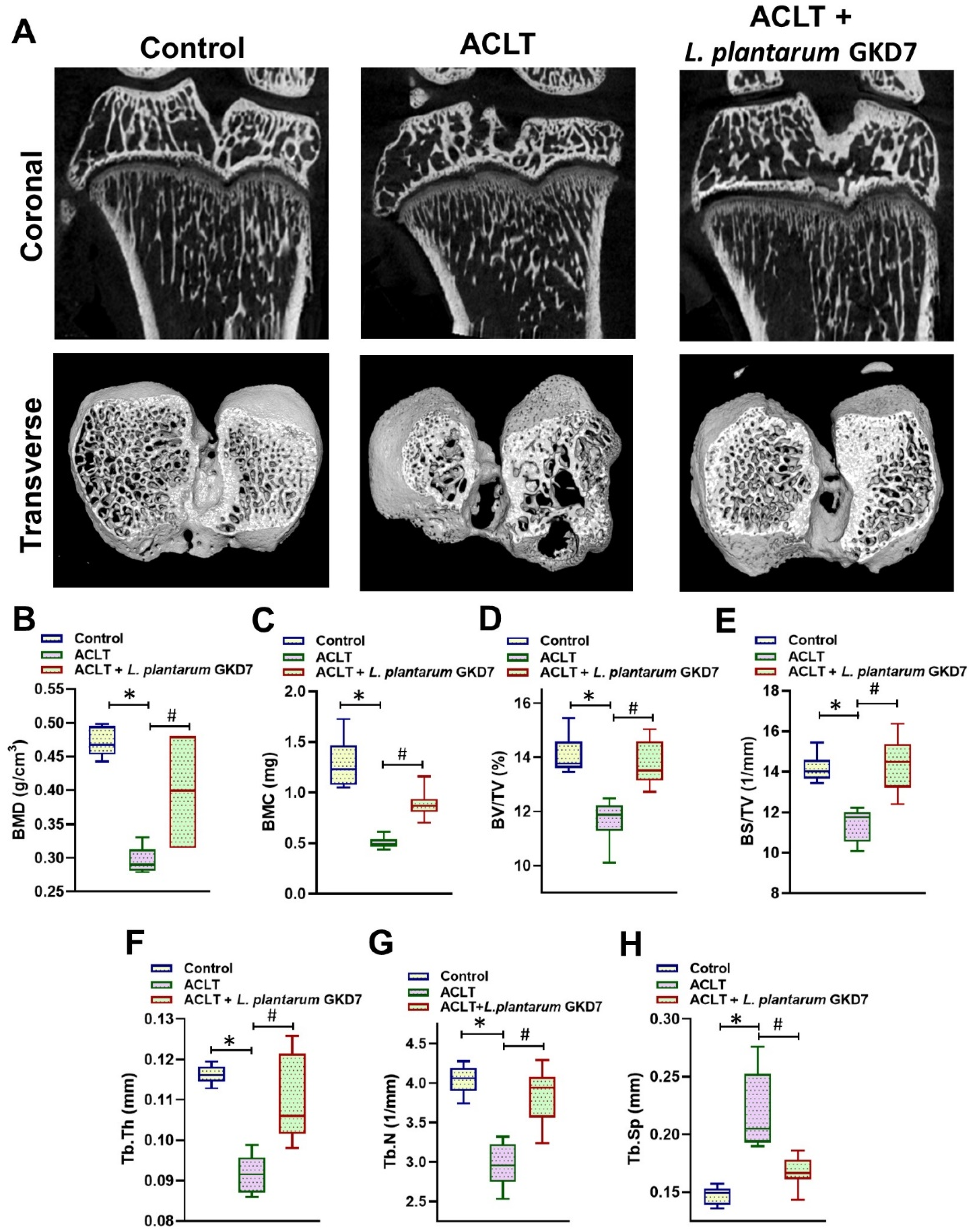 Nutrients 14 03170 g003