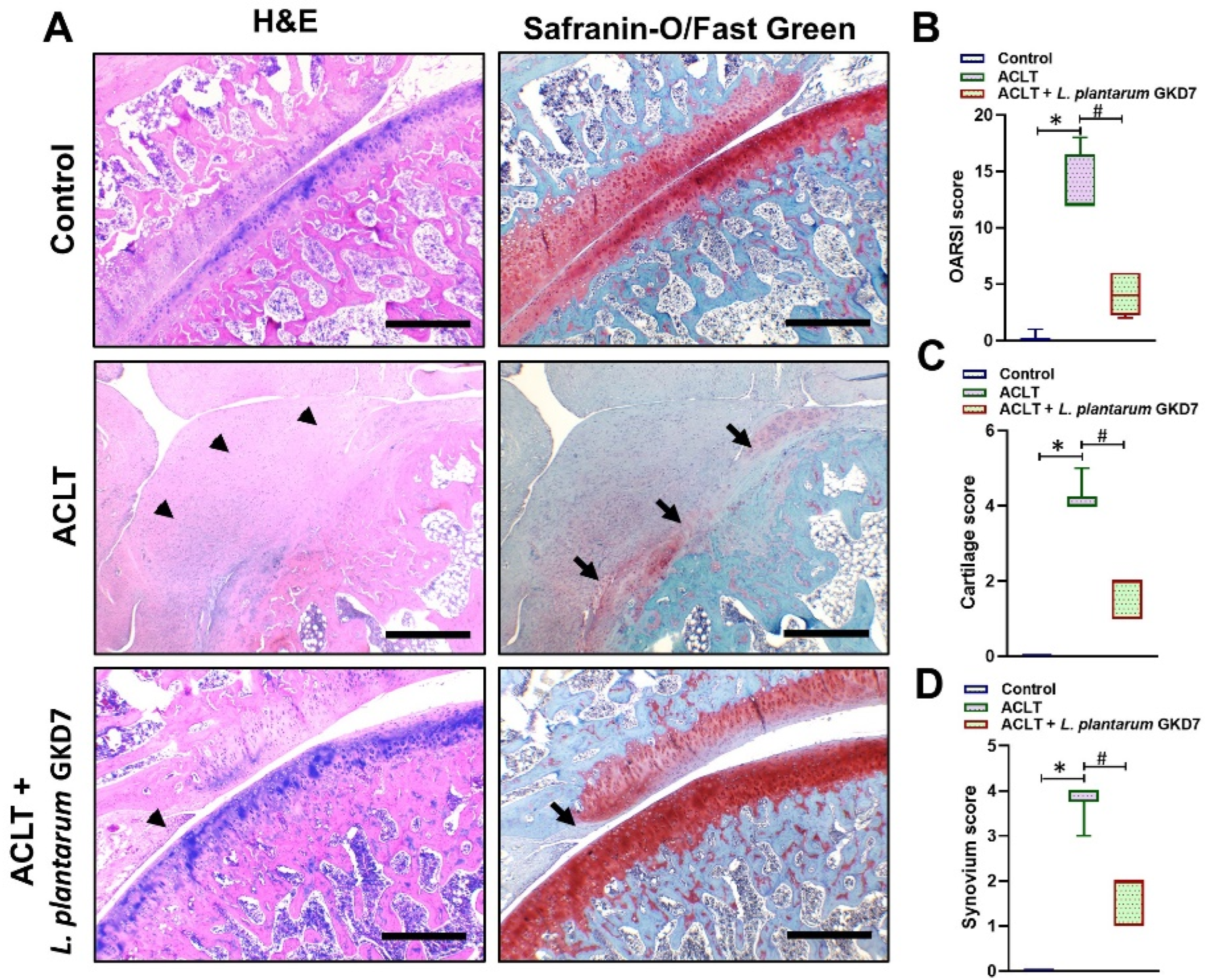 Nutrients 14 03170 g004