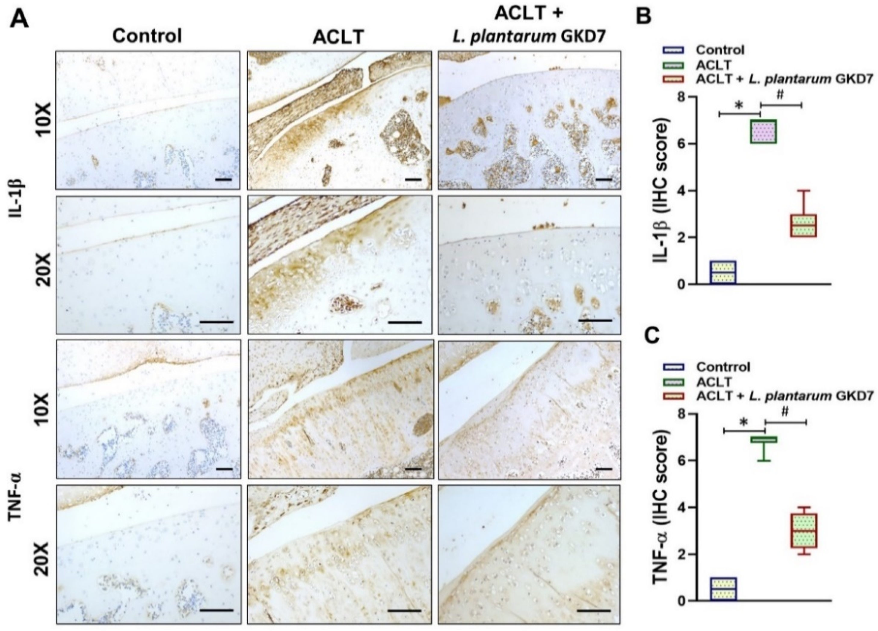 Nutrients 14 03170 g005