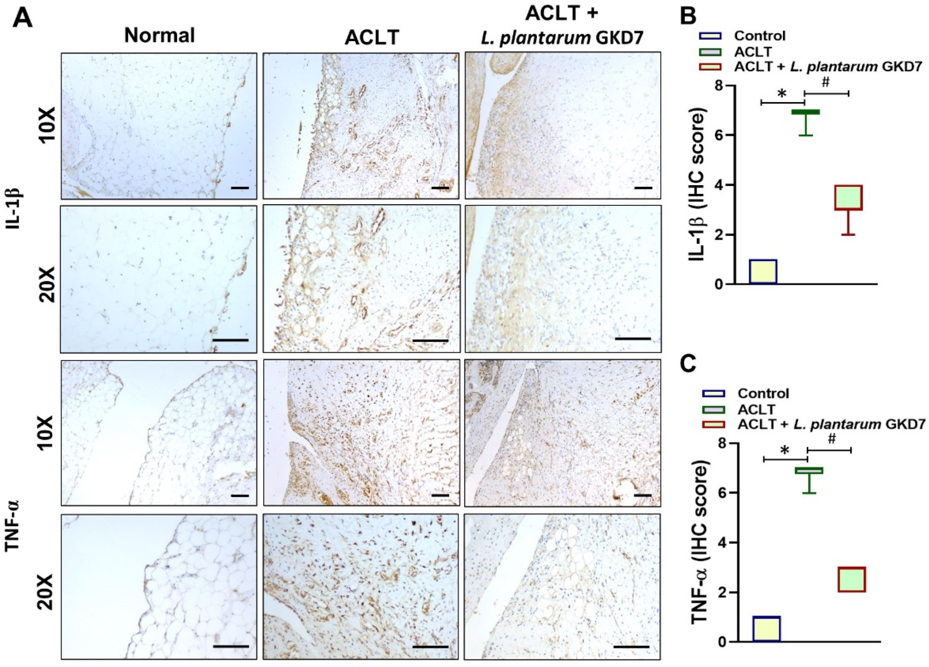 Nutrients 14 03170 g006