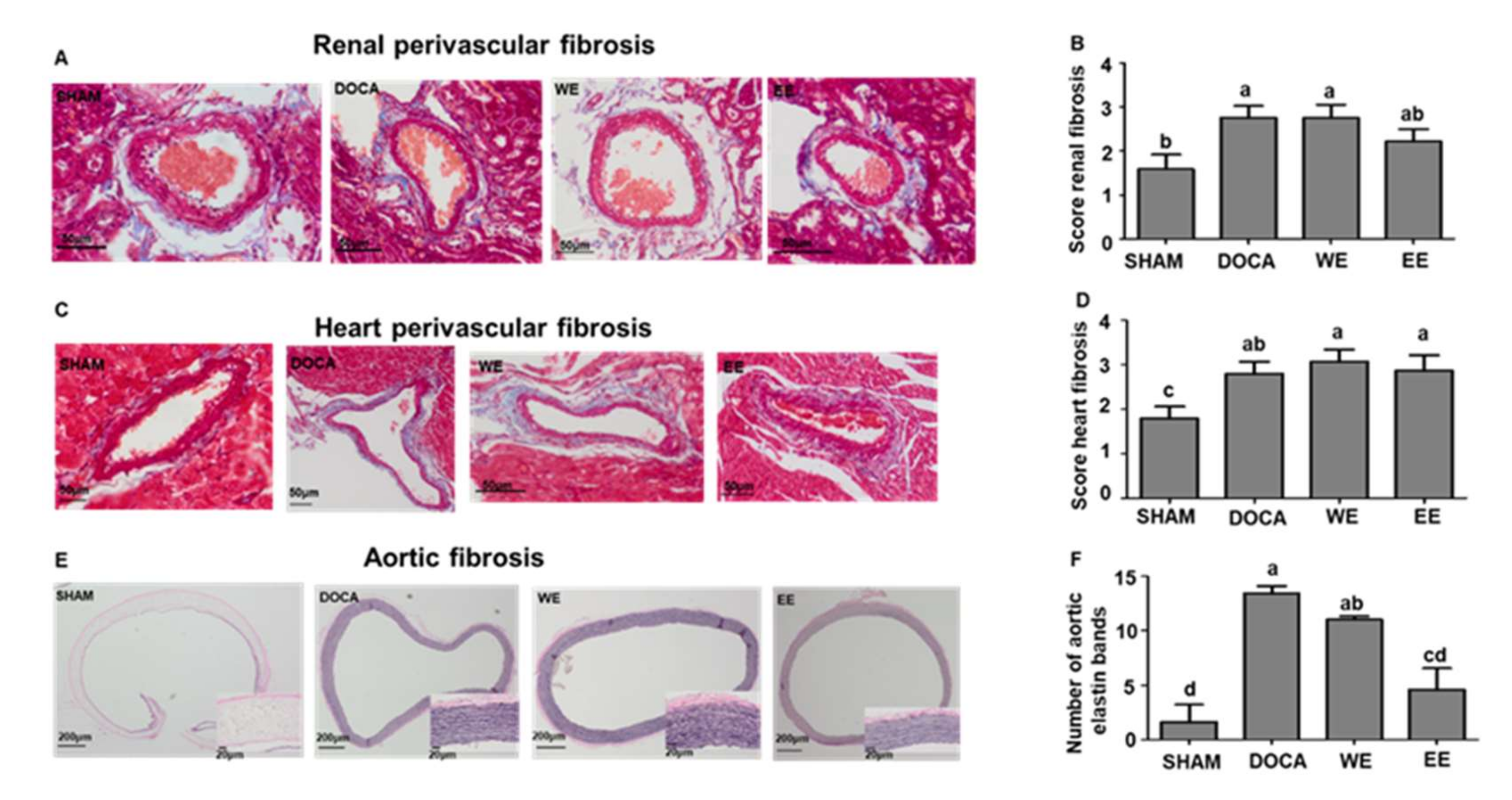Nutrients 14 03174 g003