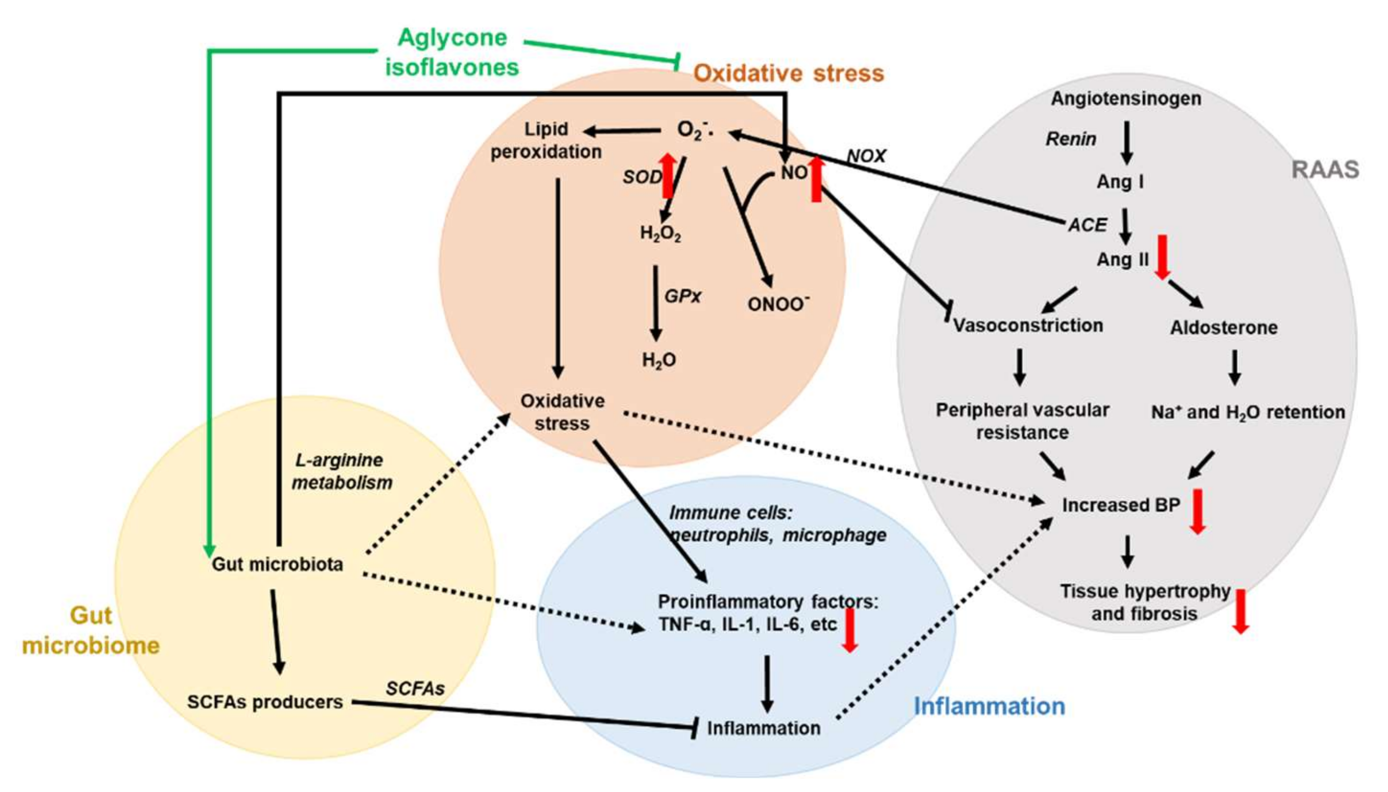 Nutrients 14 03174 g009