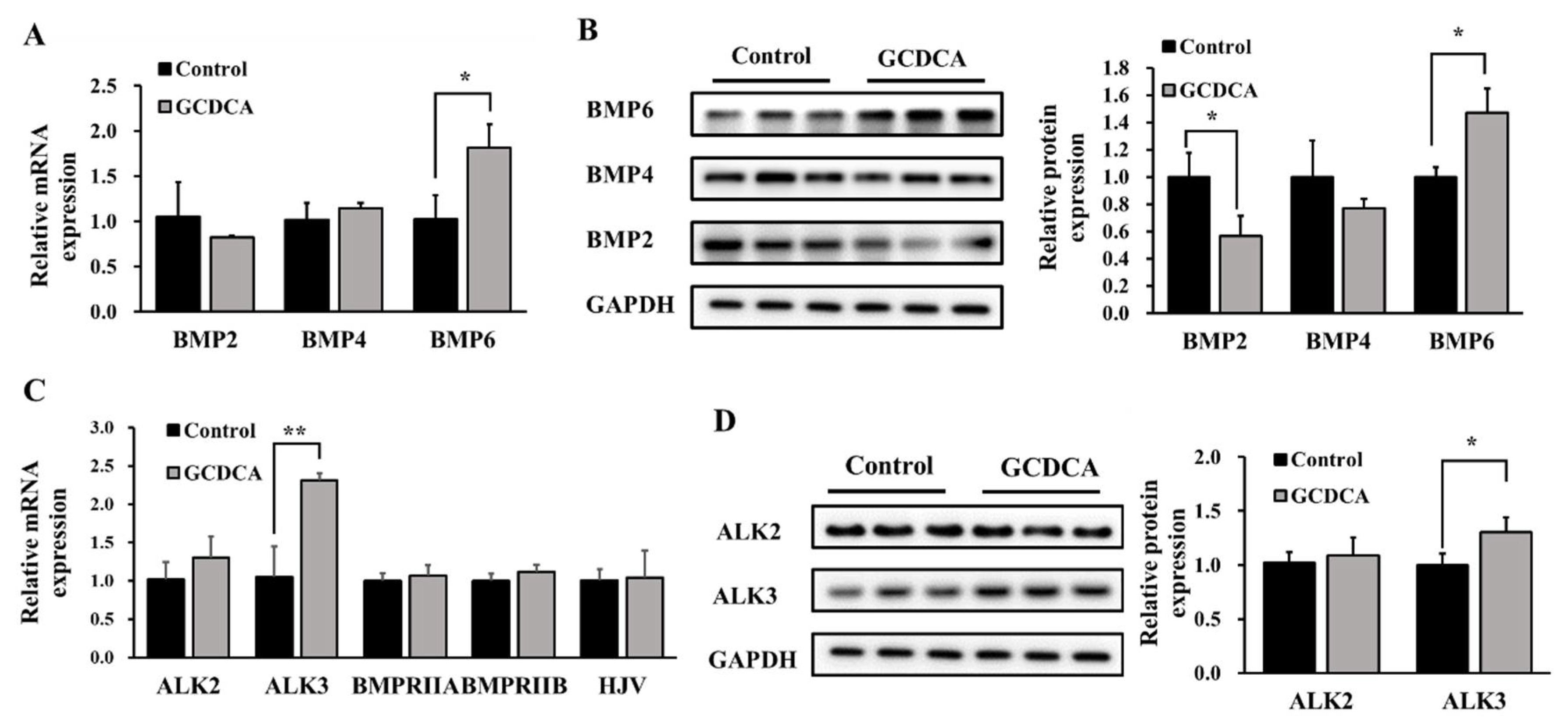 Nutrients 14 03176 g003