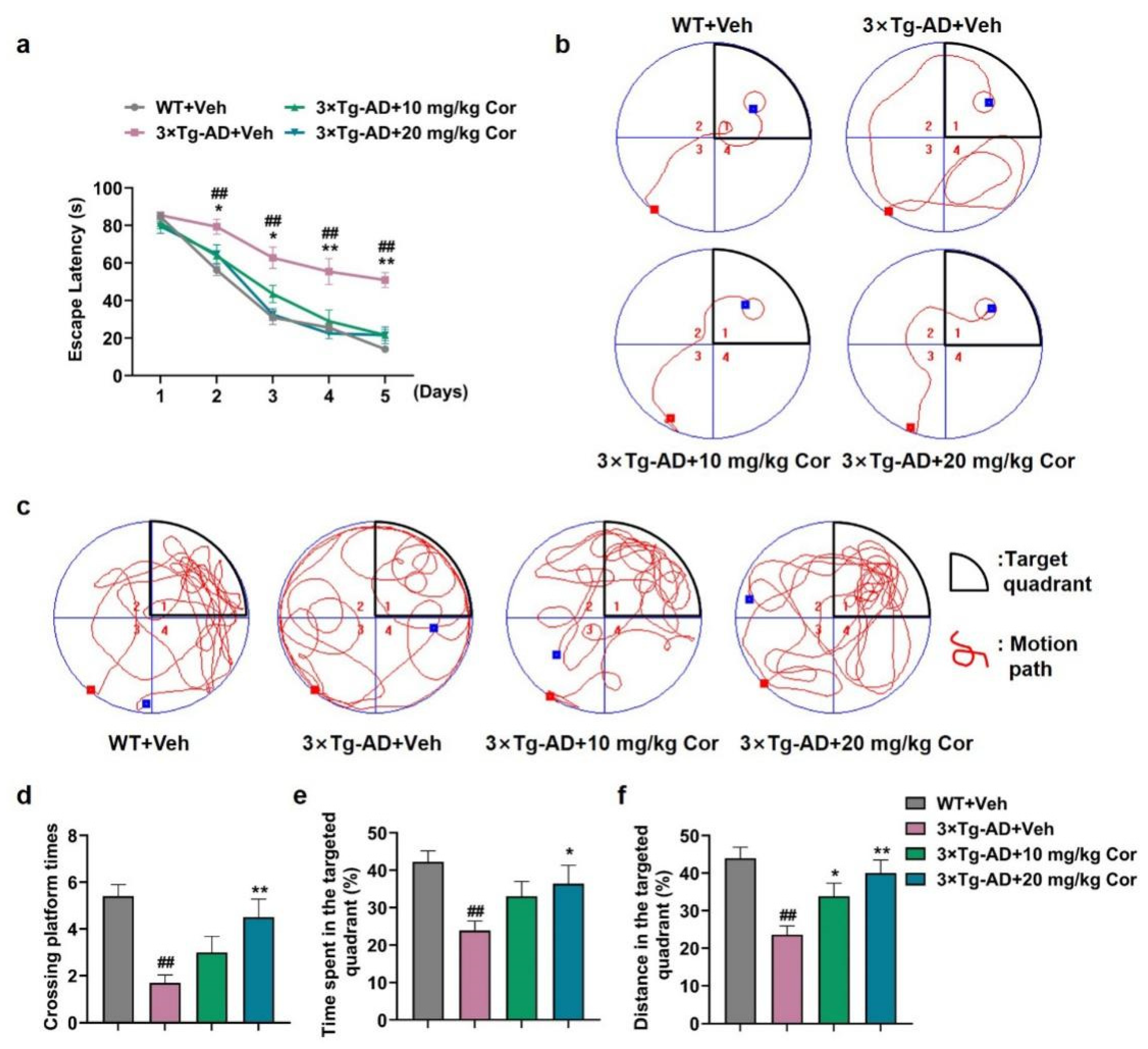 Nutrients 14 03179 g001 Nutrients 14 03179 g001