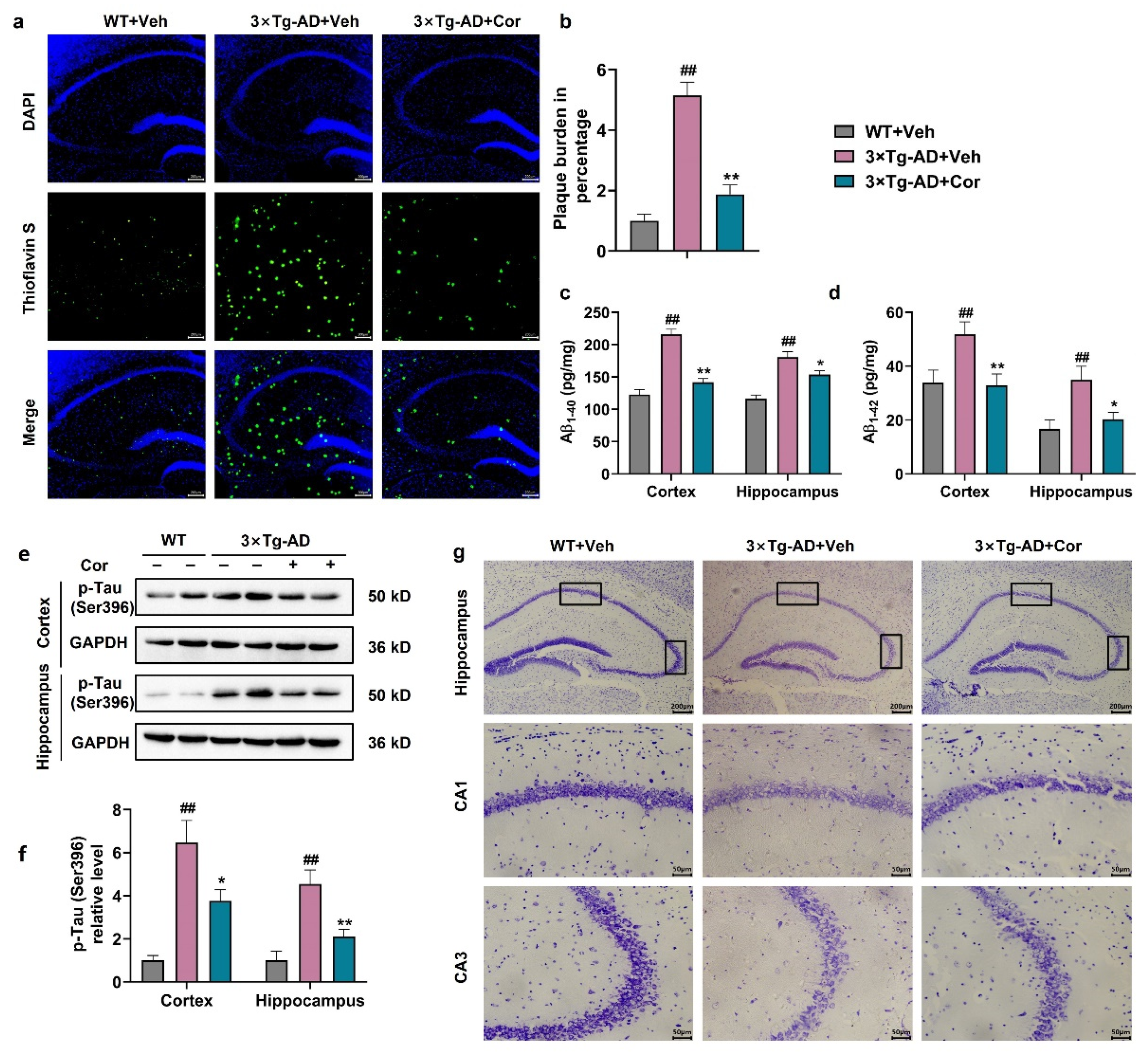Nutrients 14 03179 g002 Nutrients 14 03179 g002