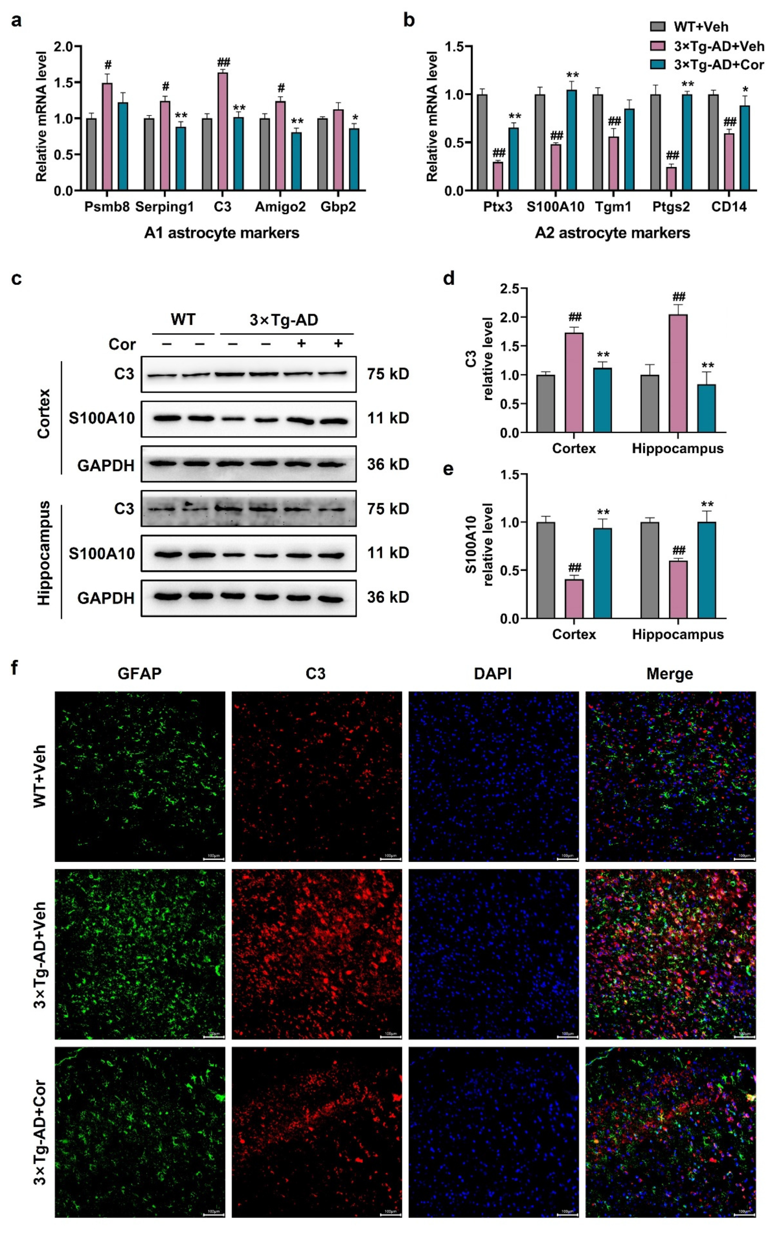 Nutrients 14 03179 g004 Nutrients 14 03179 g004