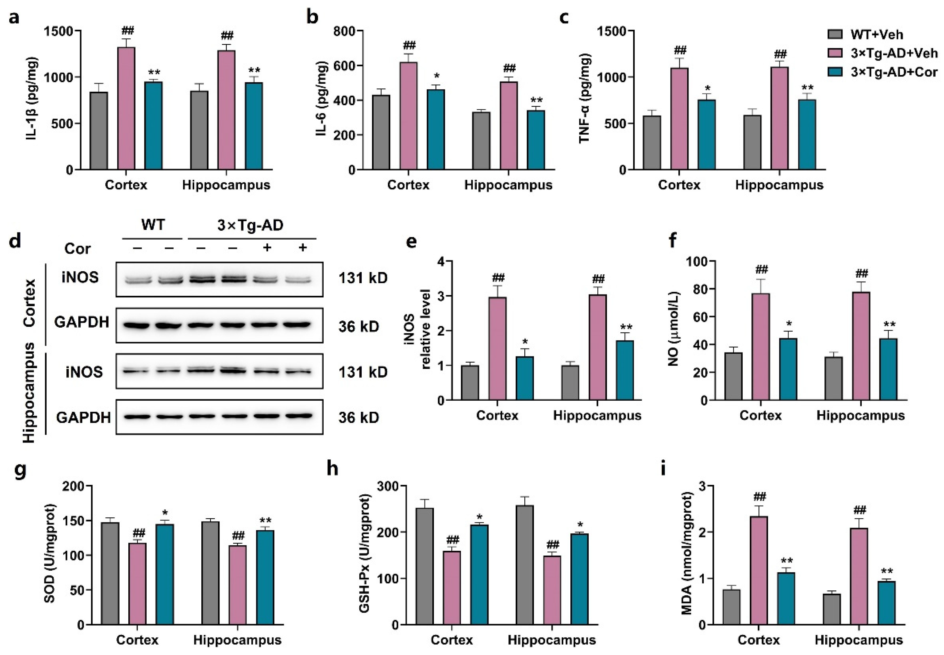 Nutrients 14 03179 g005 Nutrients 14 03179 g005