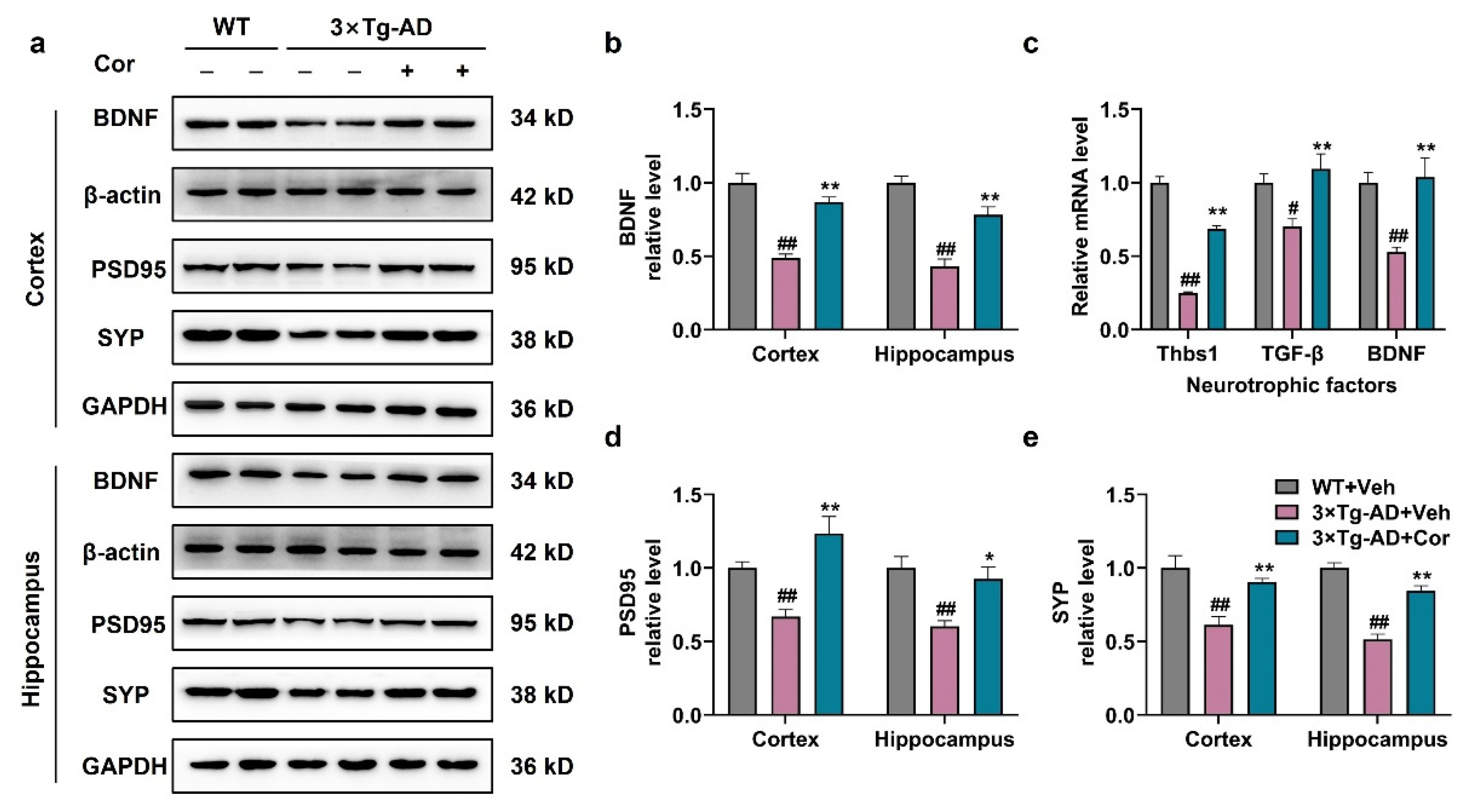Nutrients 14 03179 g006 Nutrients 14 03179 g006