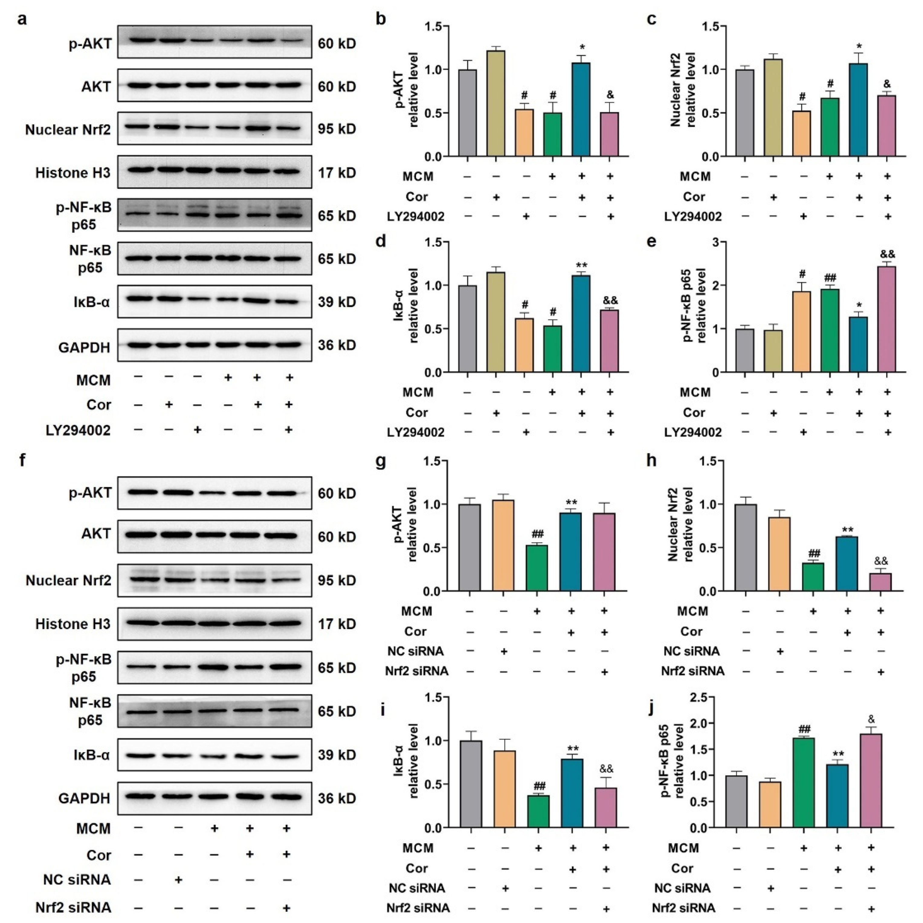 Nutrients 14 03179 g009 Nutrients 14 03179 g009