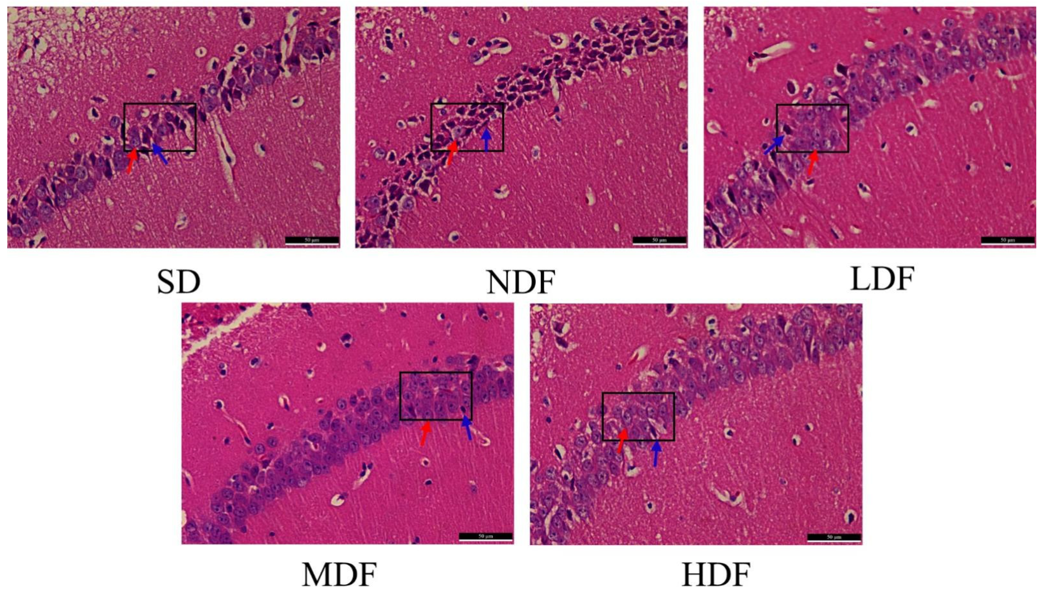 Nutrients 14 03181 g005