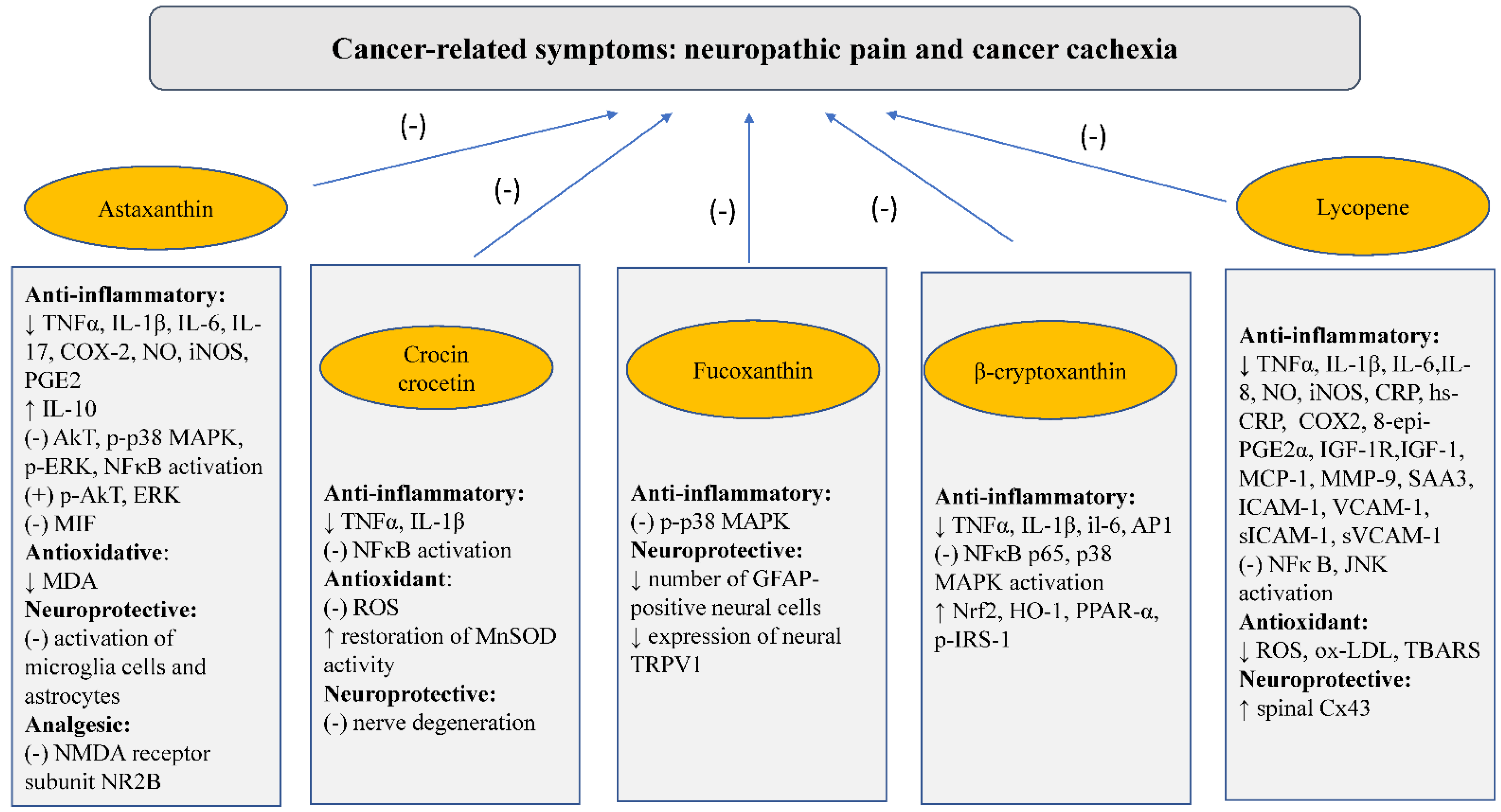 Nutrients 14 03183 g002 550