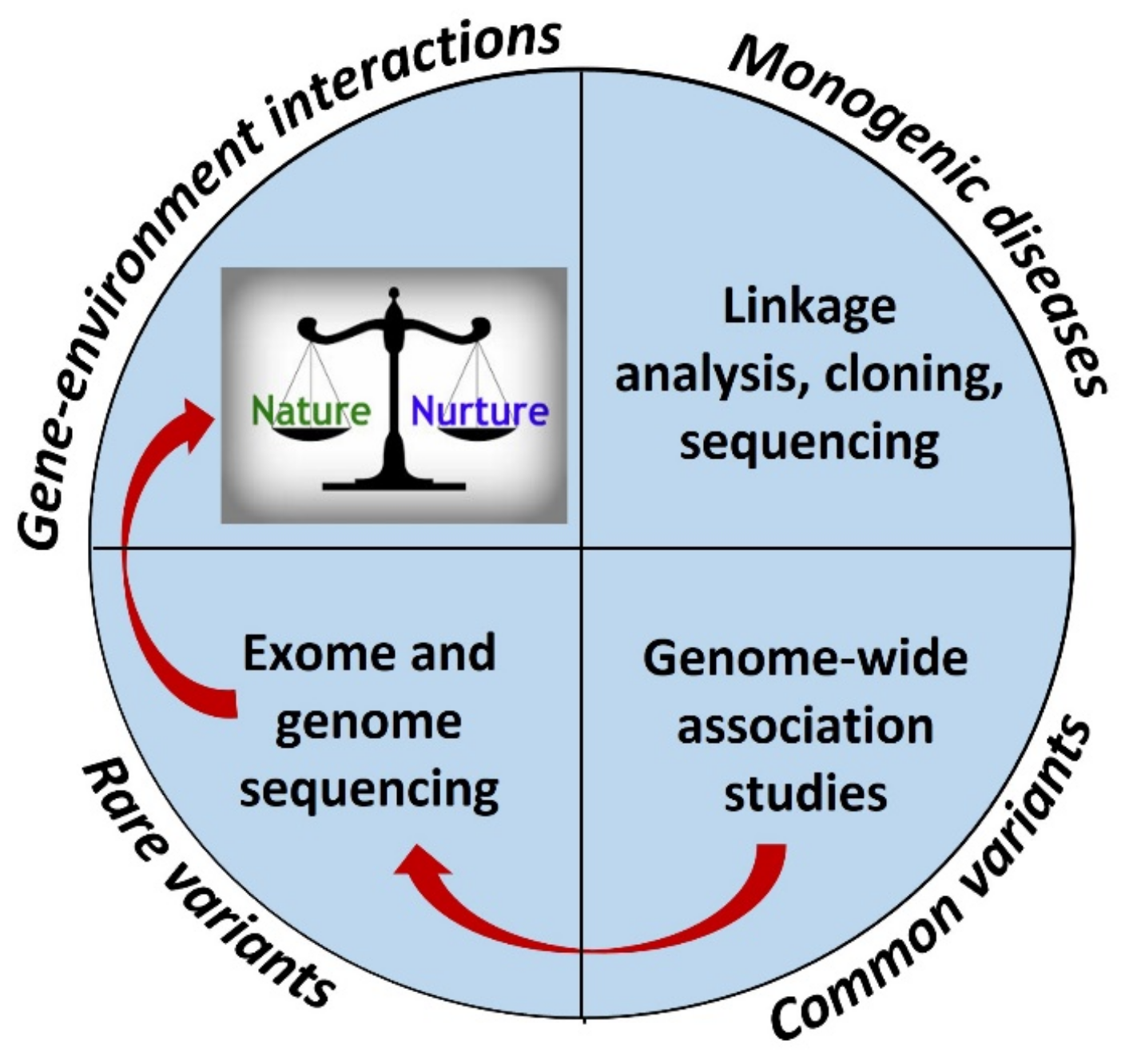 Nutrients 14 03201 g001
