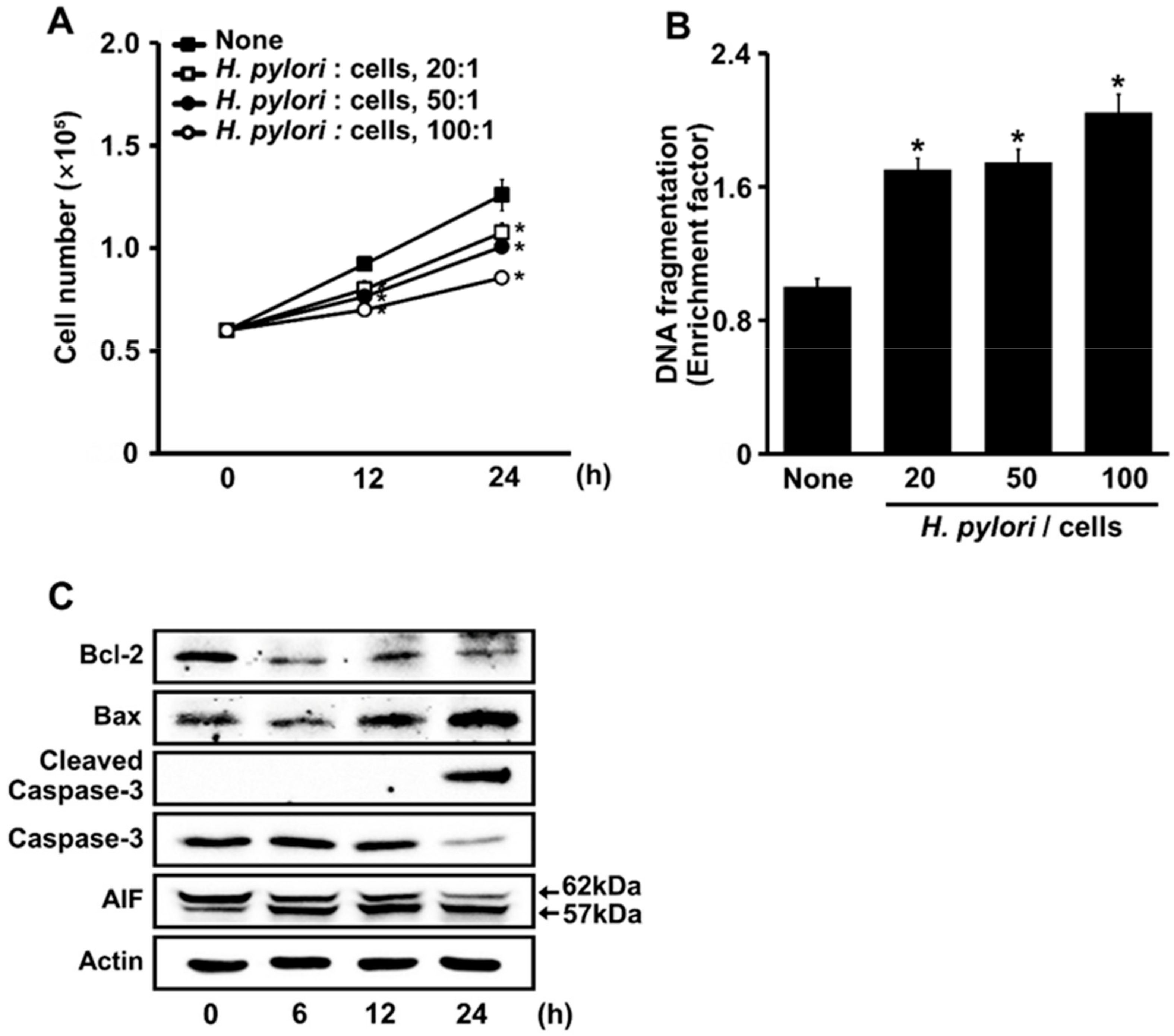 Nutrients 14 03206 g001