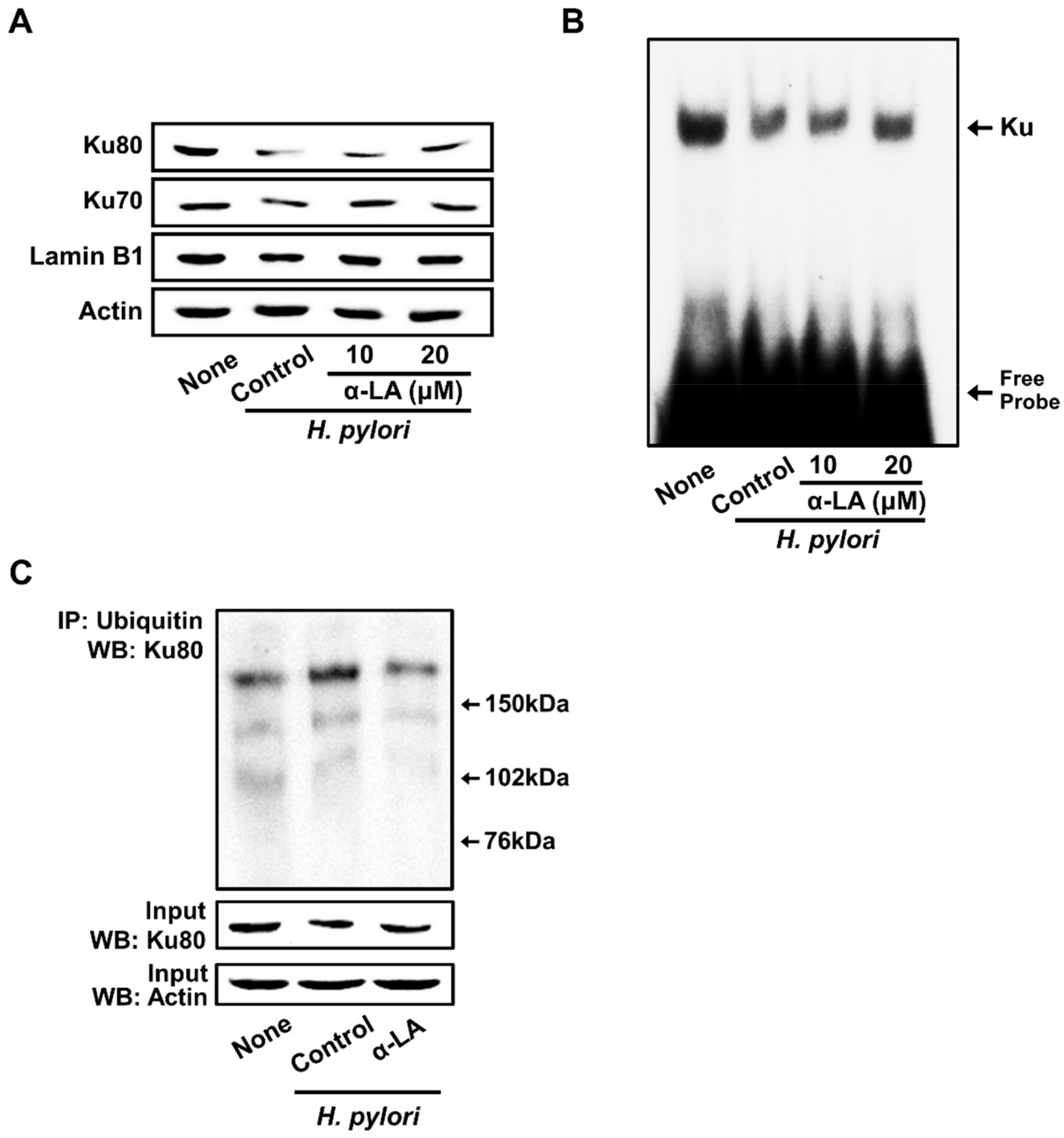 Nutrients 14 03206 g004
