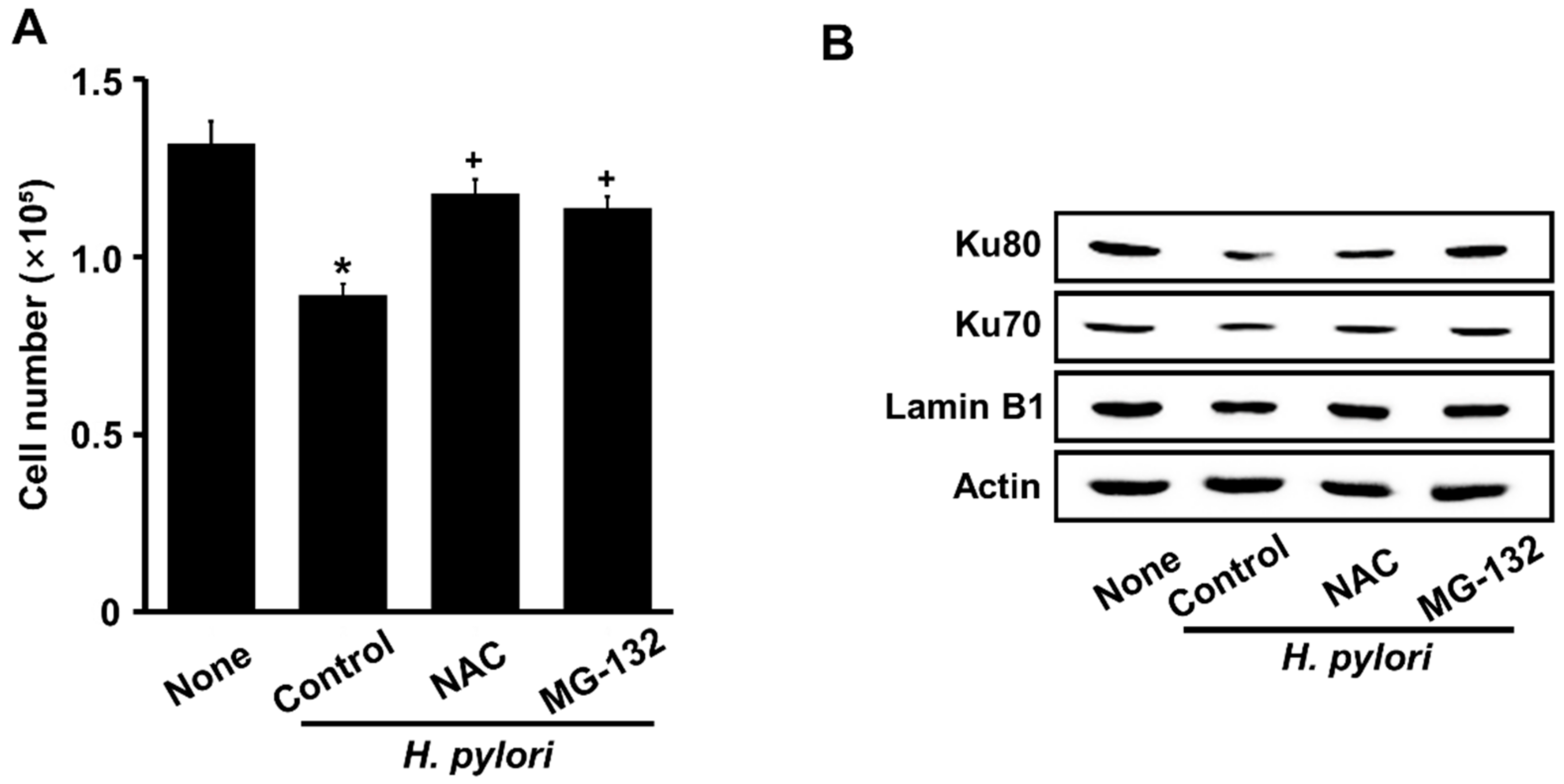 Nutrients 14 03206 g005