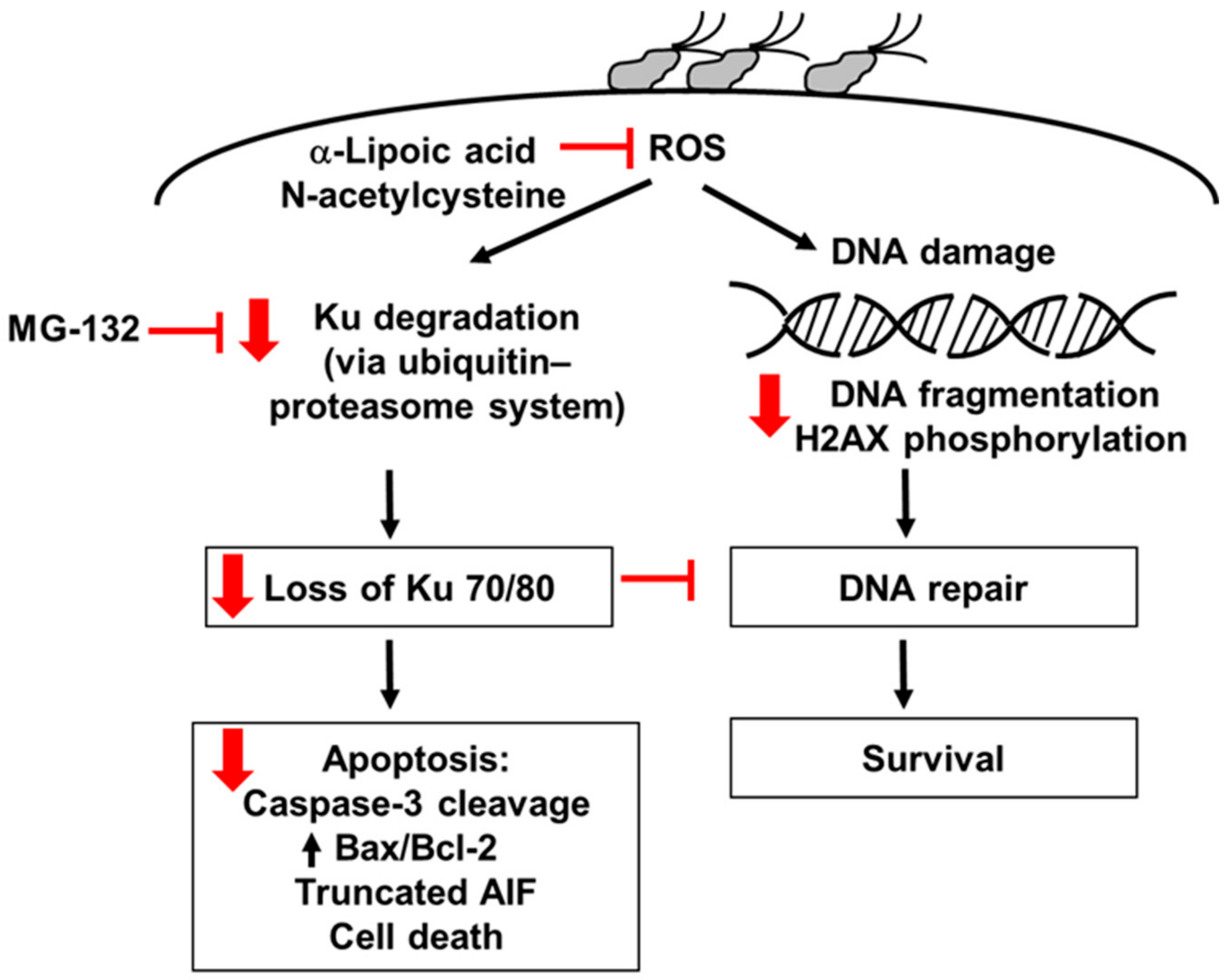 Nutrients 14 03206 g006