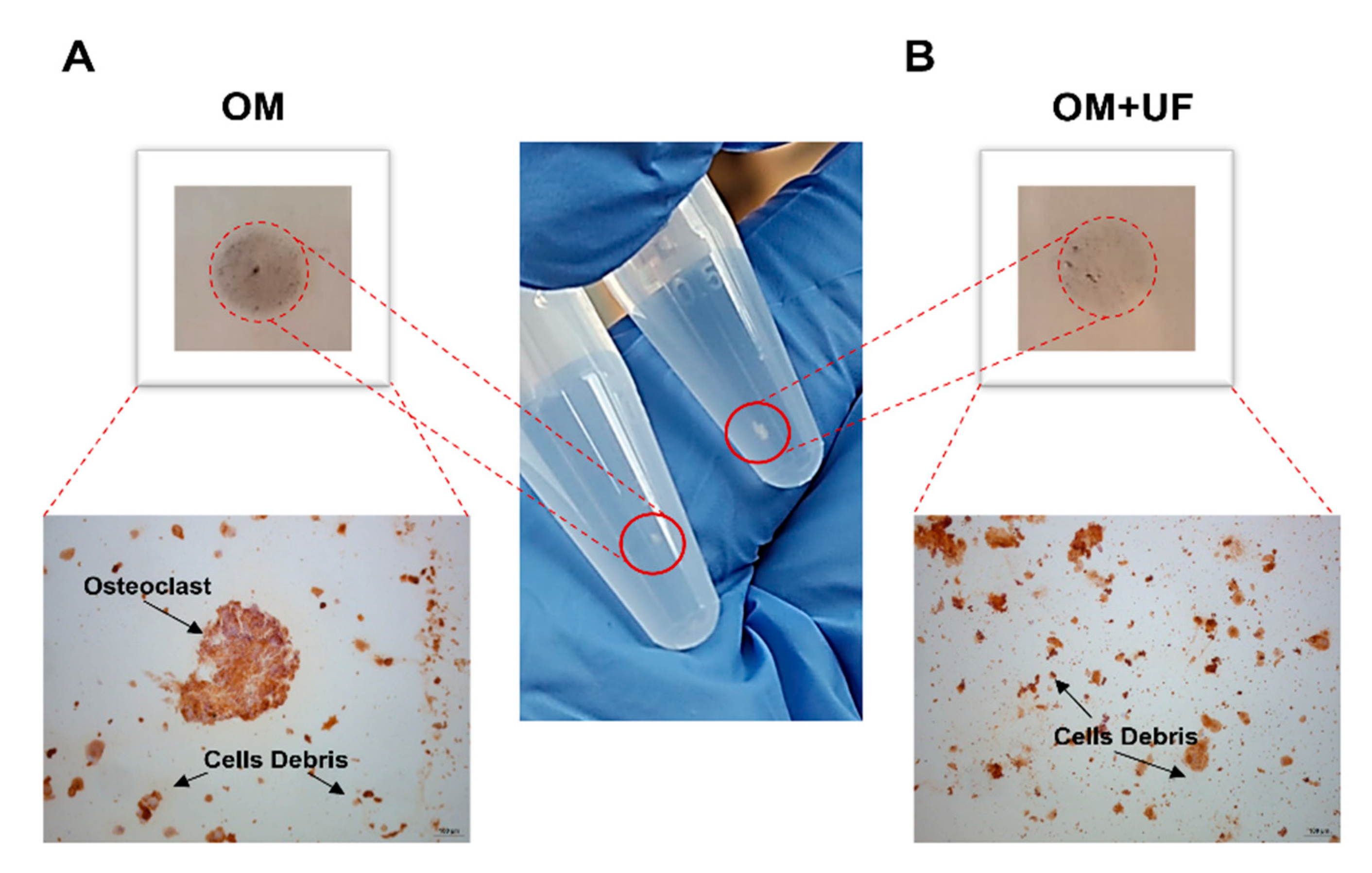 Nutrients 14 03209 g006