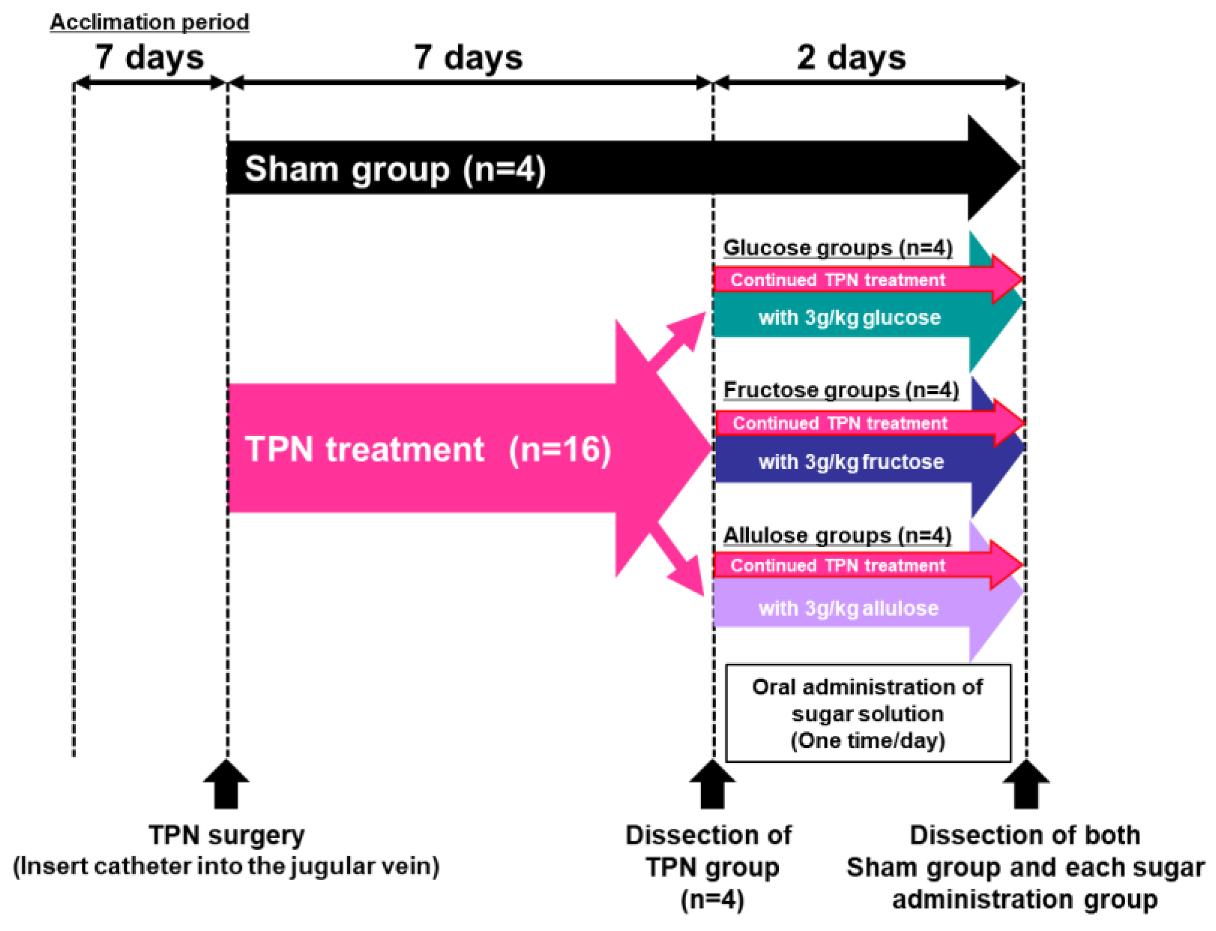 Nutrients 14 03230 g004