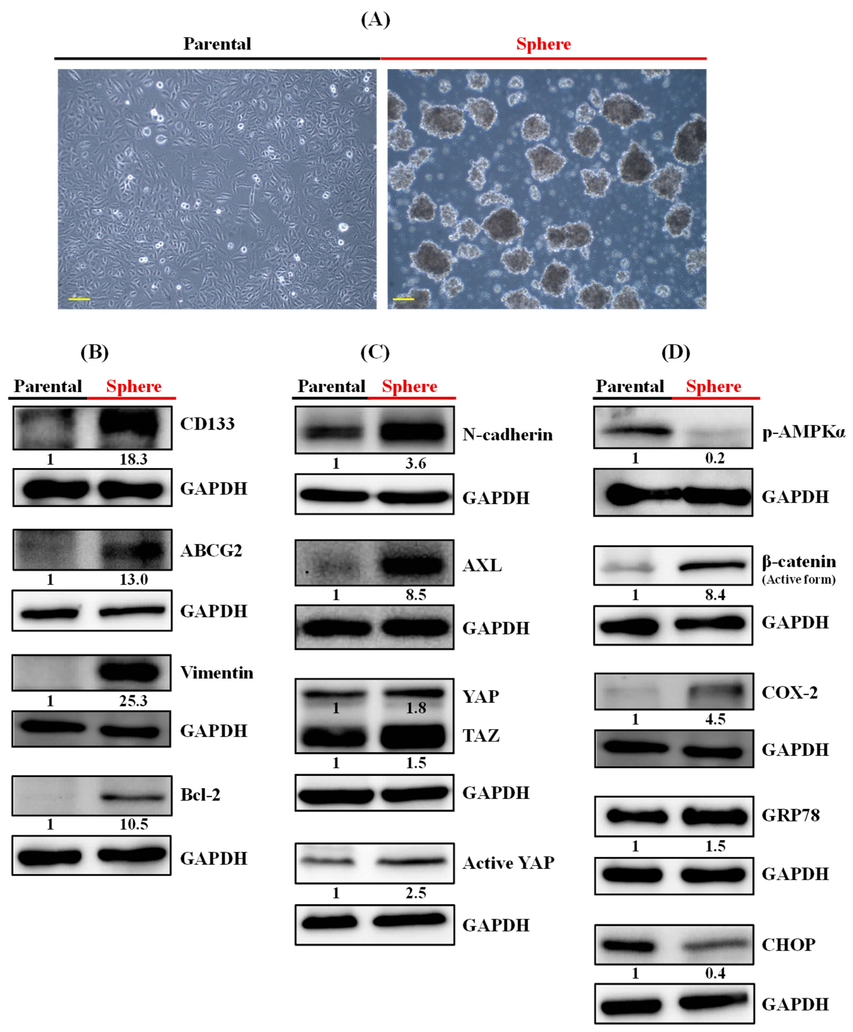 Nutrients 14 03232 g001