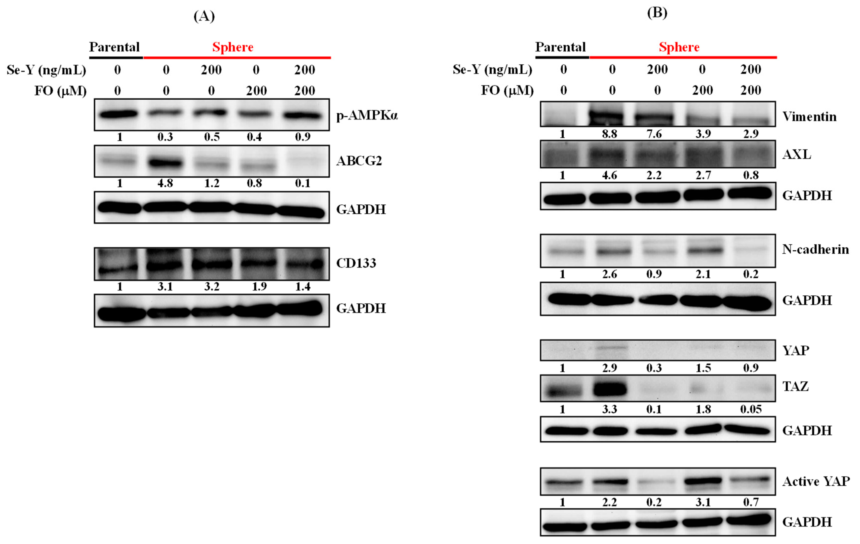 Nutrients 14 03232 g004