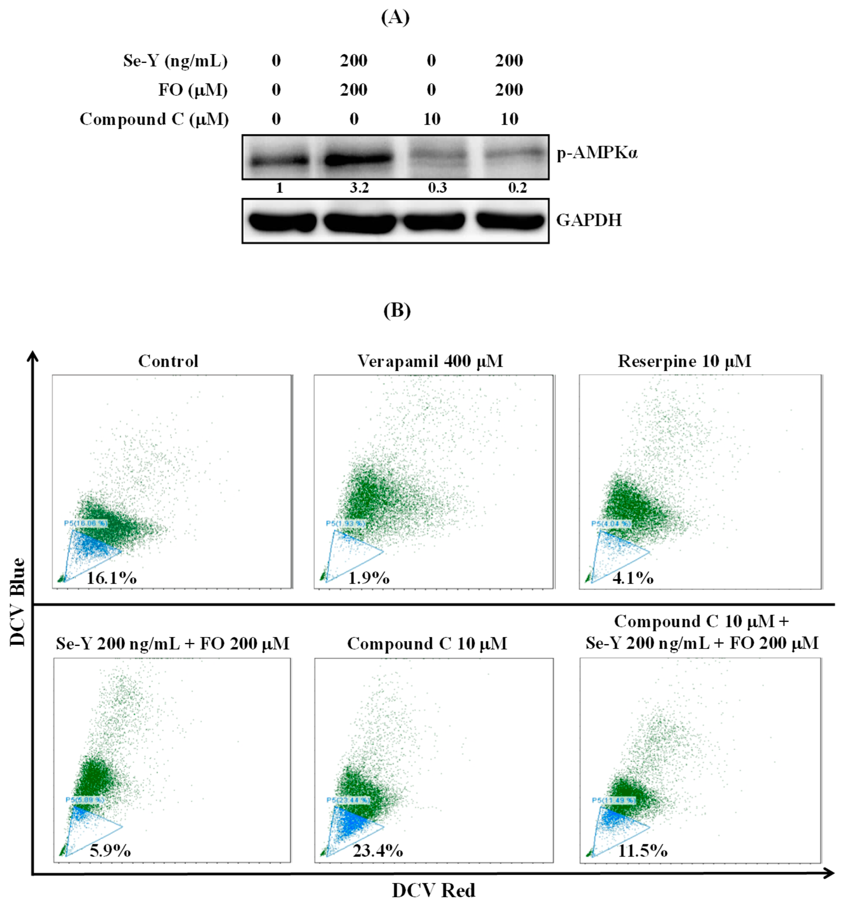 Nutrients 14 03232 g005