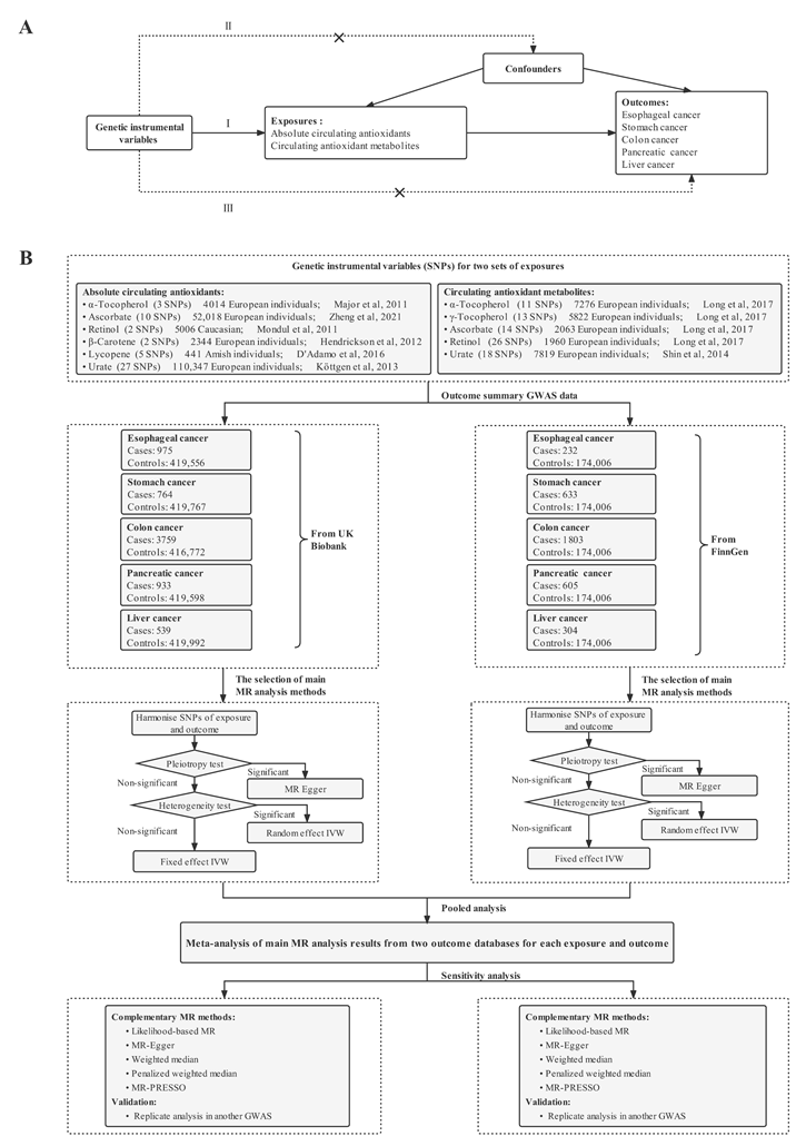 Nutrients 14 03237 g001