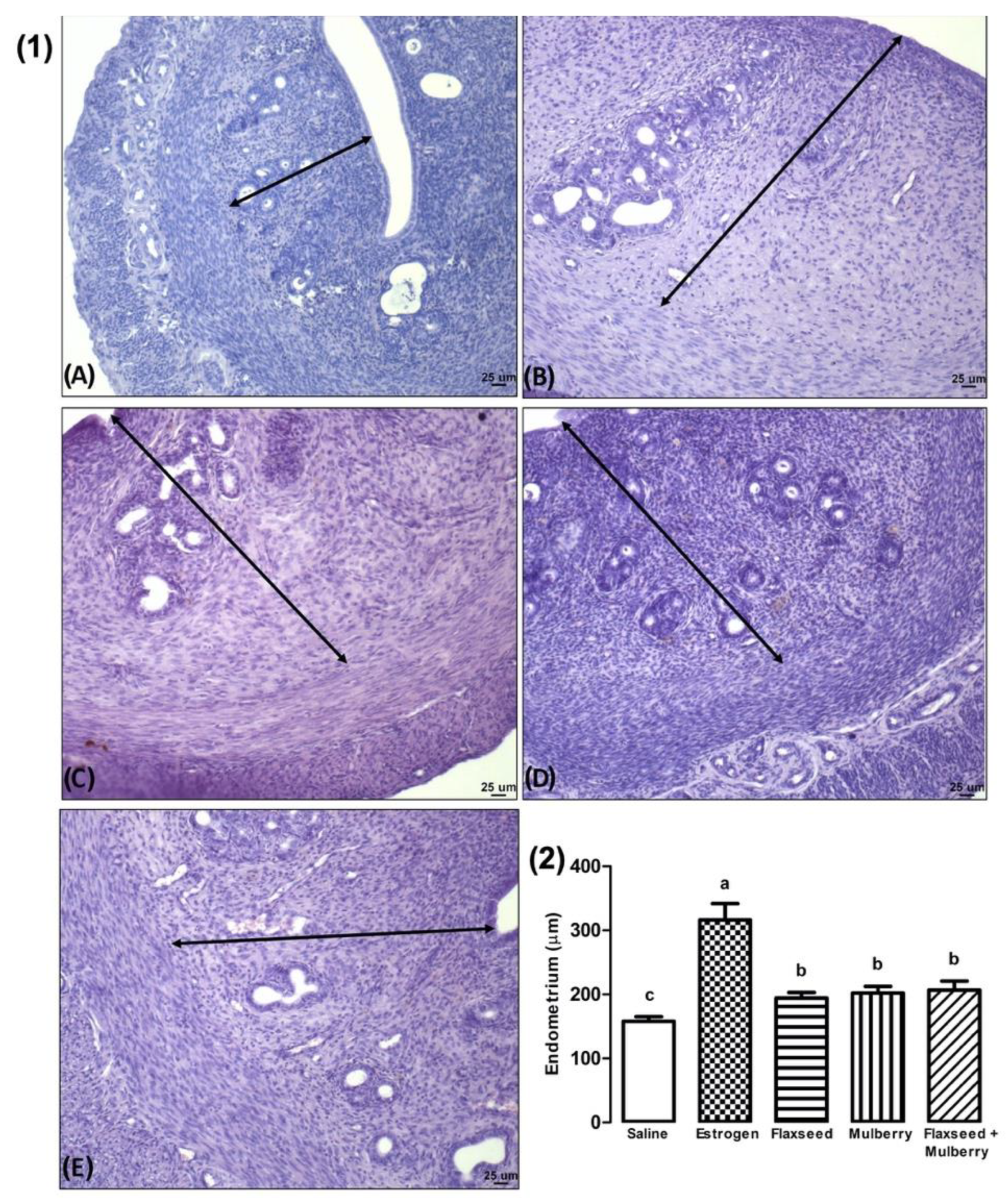 Nutrients 14 03238 g004 Nutrients 14 03238 g004