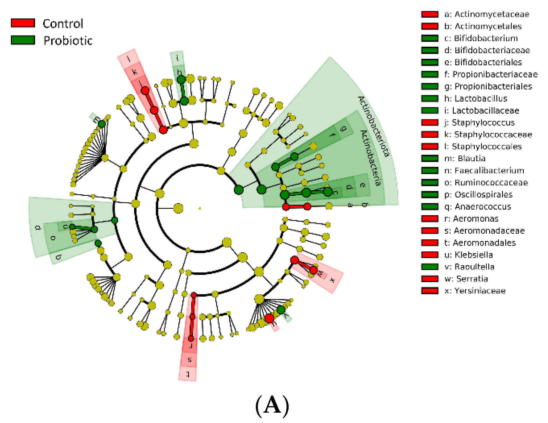 Nutrients 14 03239 g004a 550