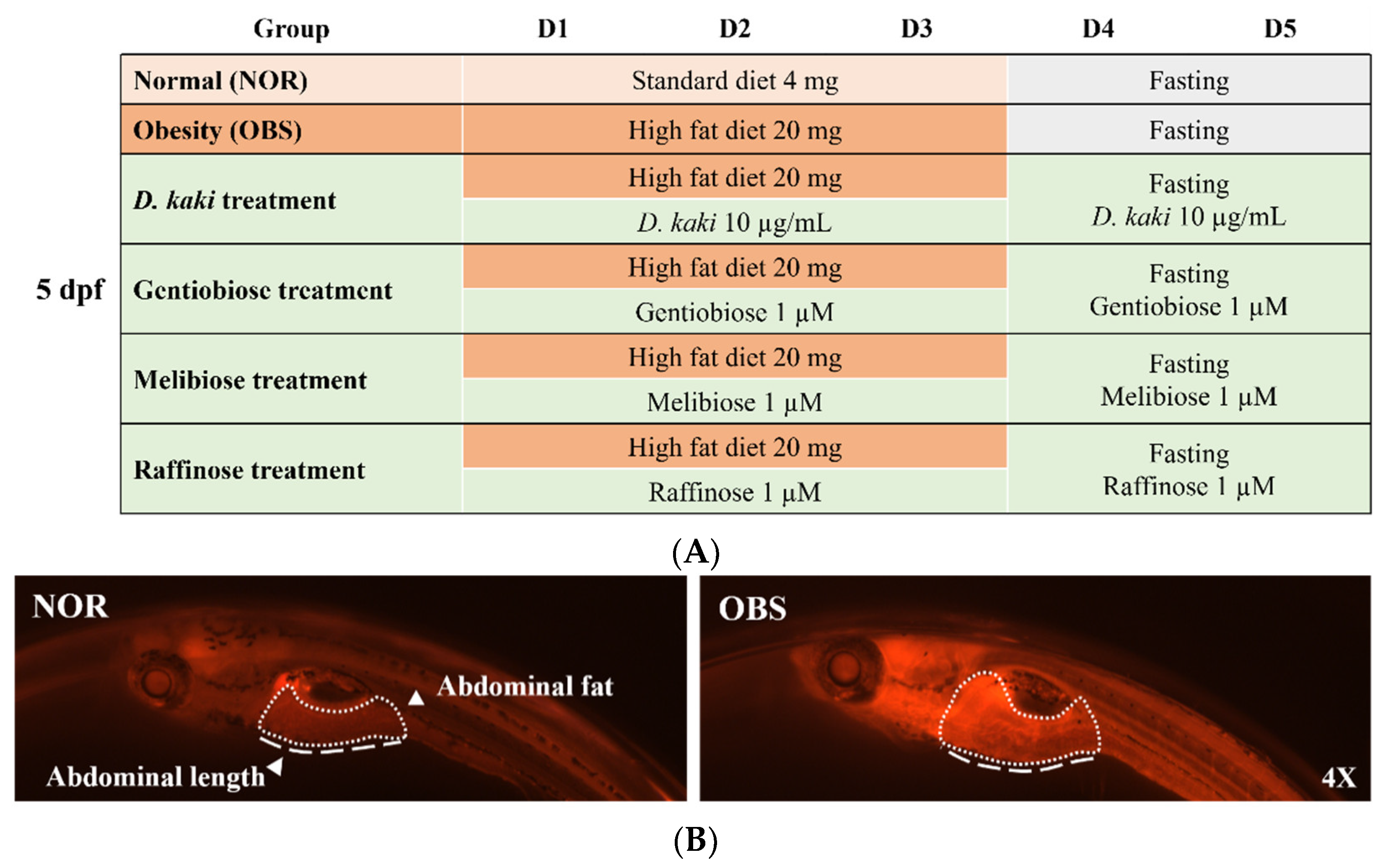 Nutrients 14 03249 g001