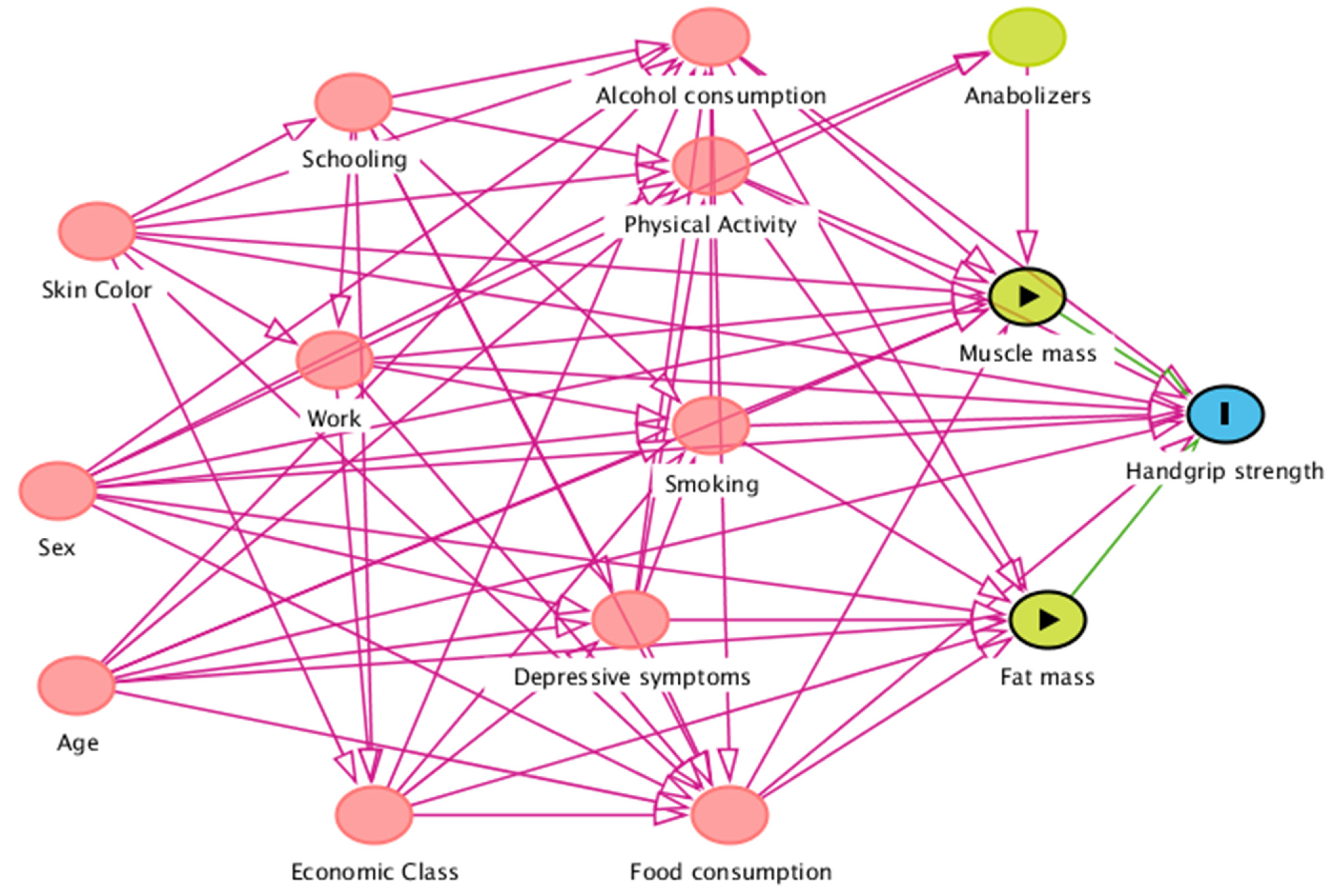 Nutrients 14 03259 g001 Nutrients 14 03259 g001