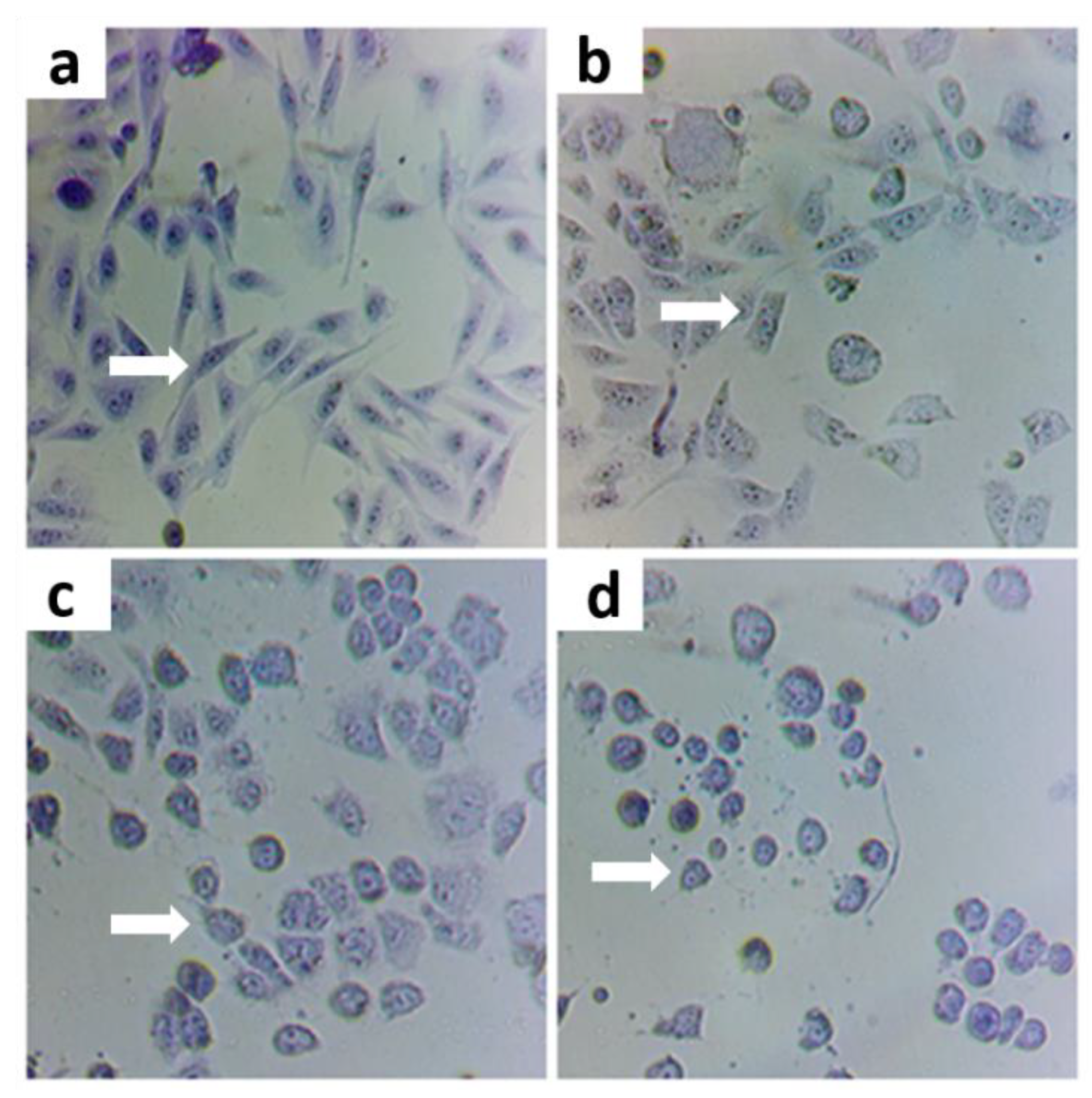 Nutrients 14 03265 g001 550