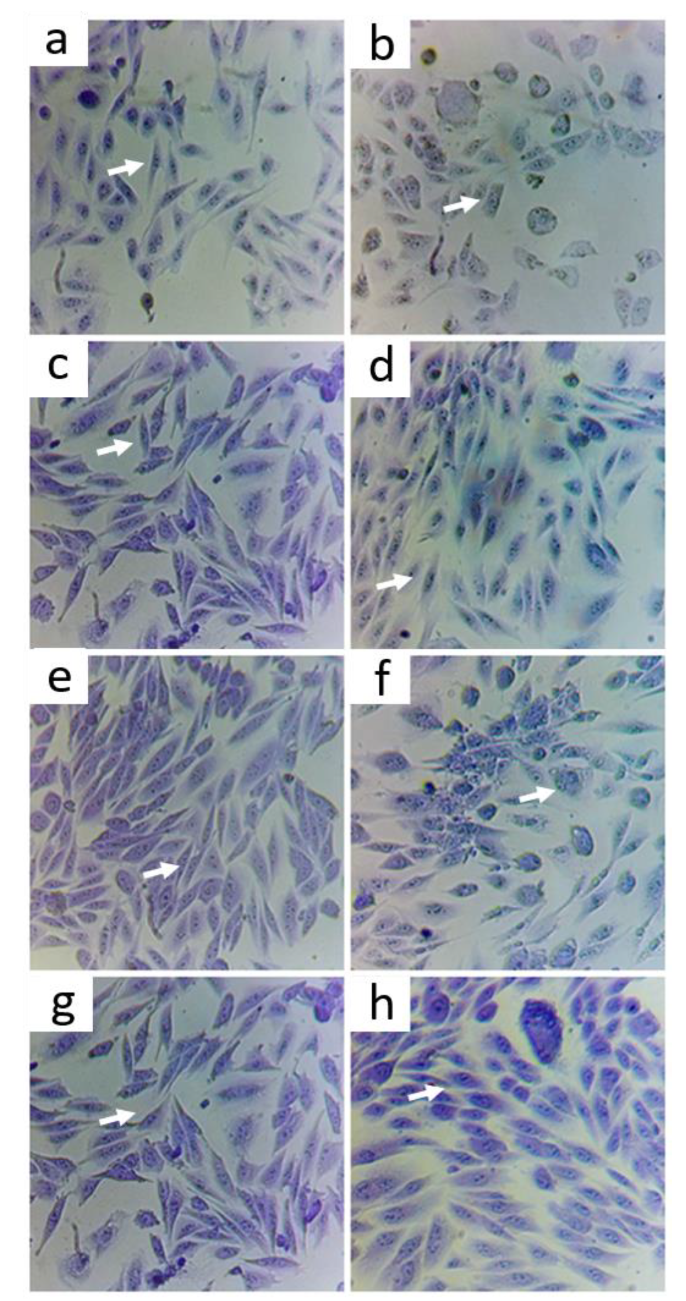 Nutrients 14 03265 g005 550
