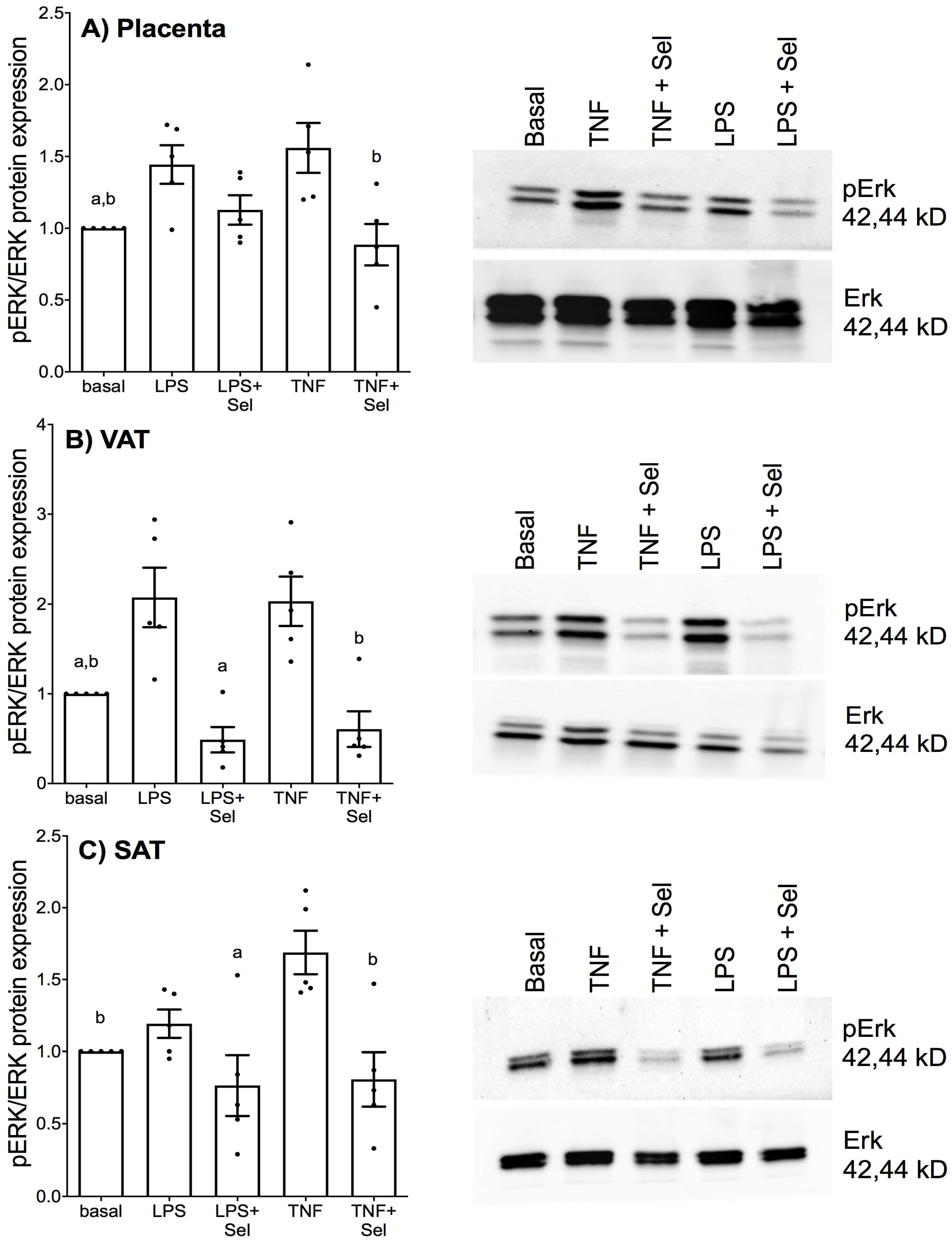 Nutrients 14 03286 g011 Nutrients 14 03286 g011