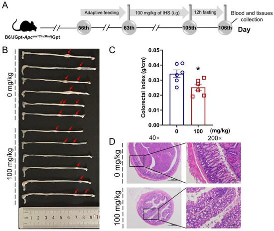 Anti-Colorectal Cancer Effects of Inonotus hispidus (Bull