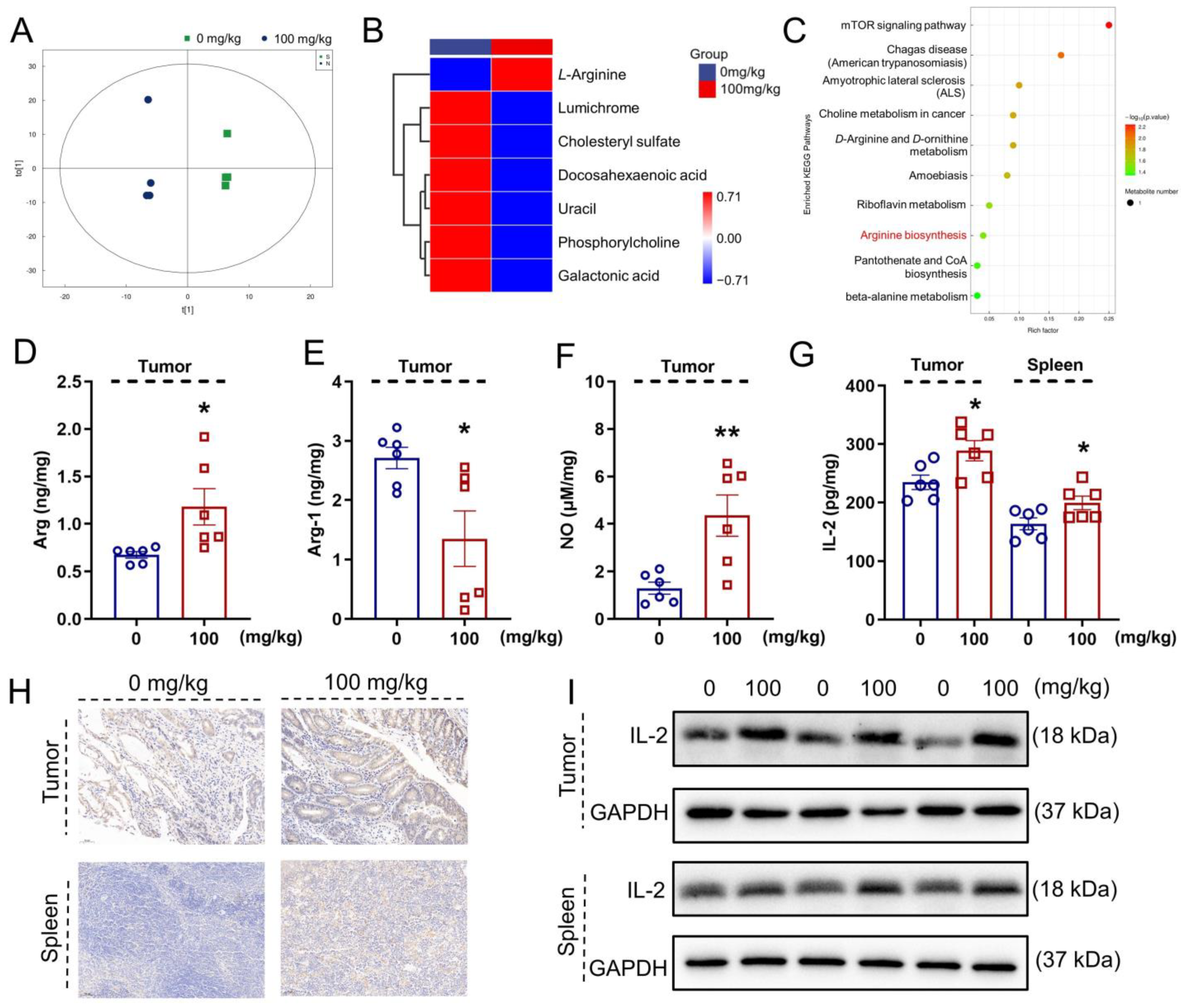 Nutrients 14 03299 g003 550