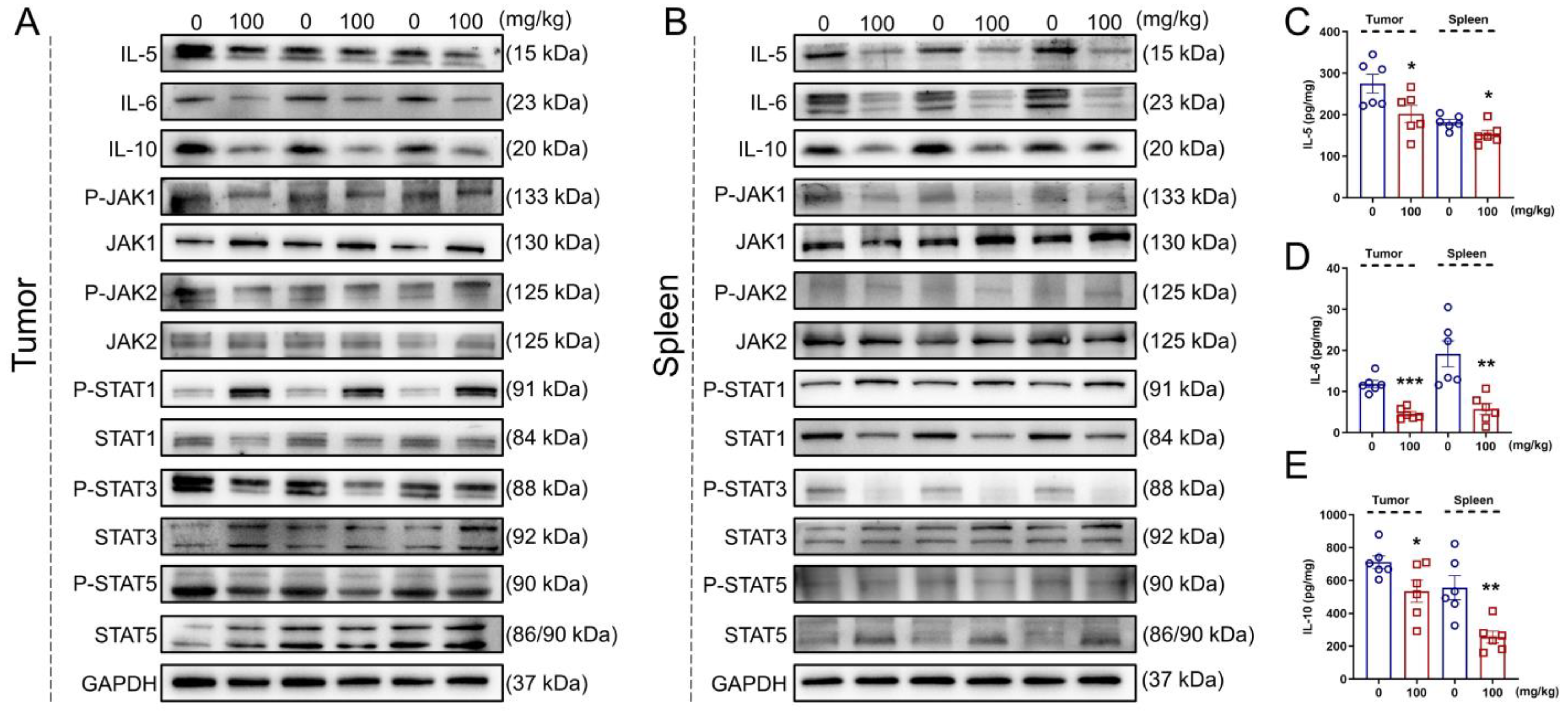Nutrients 14 03299 g005 550