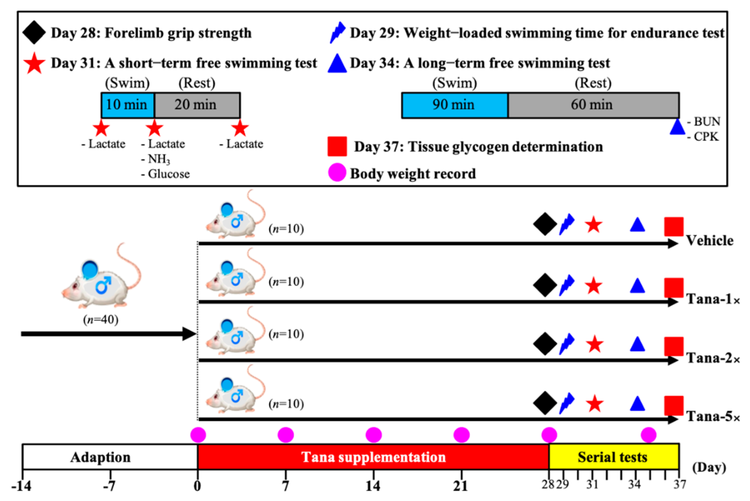 Nutrients 14 03308 g001