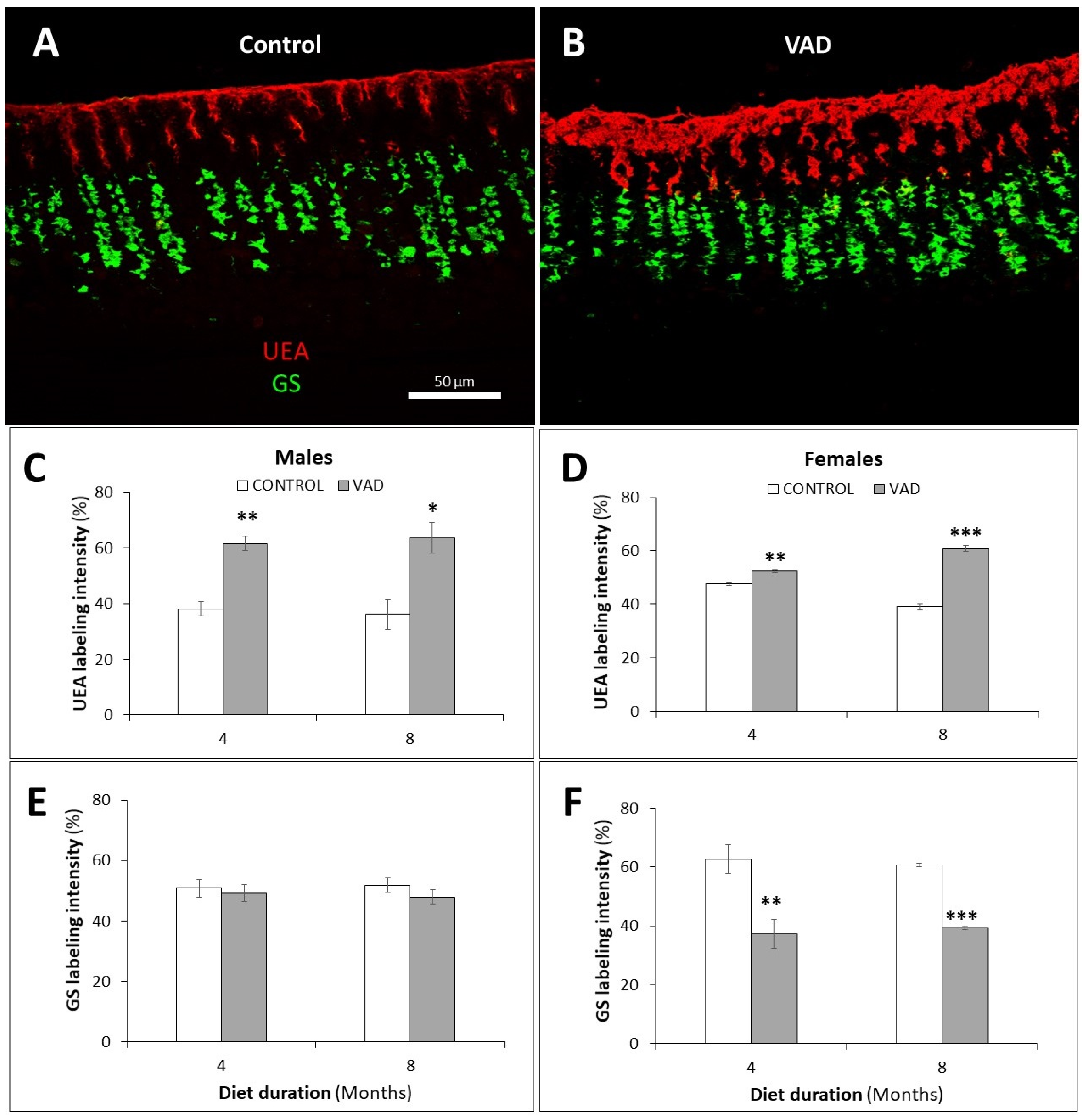 Nutrients 14 03334 g007 Nutrients 14 03334 g007