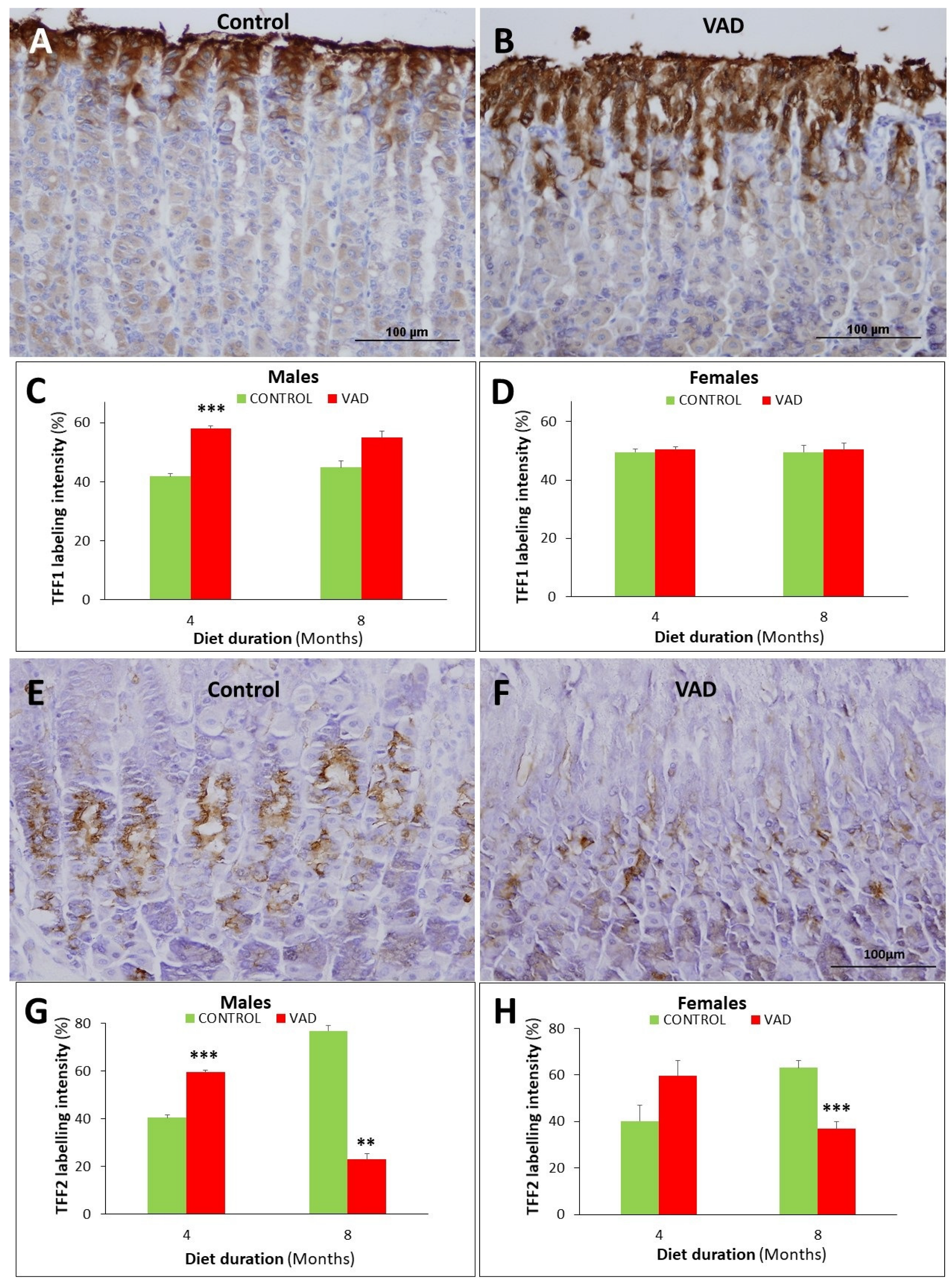 Nutrients 14 03334 g008 Nutrients 14 03334 g008