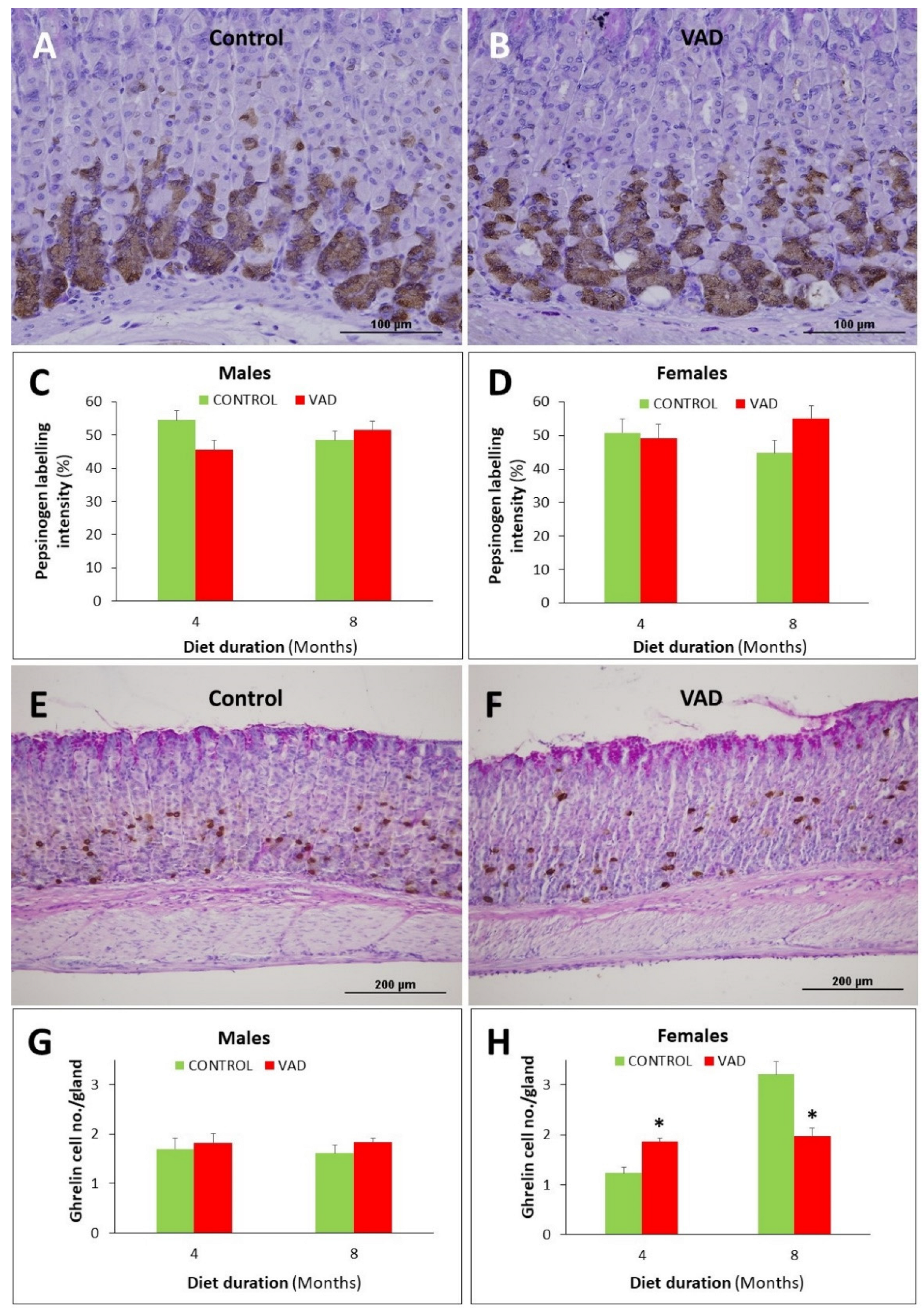 Nutrients 14 03334 g010 Nutrients 14 03334 g010