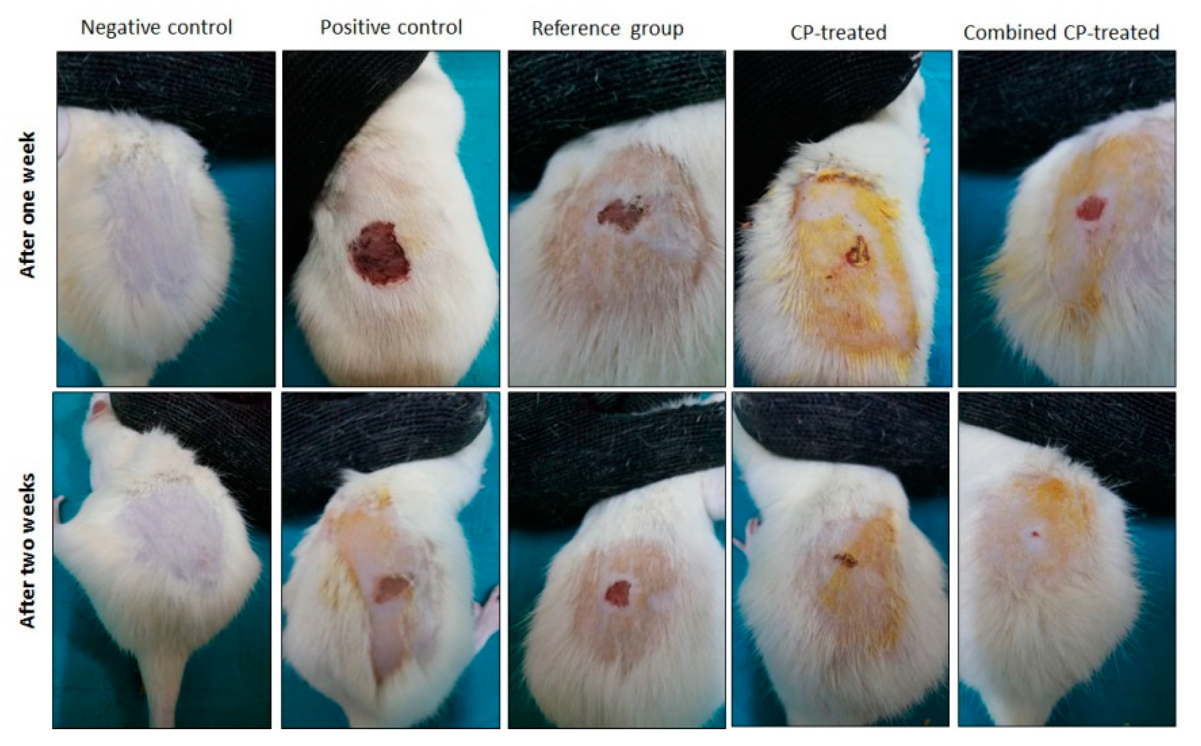 Nutrients 14 03336 g002 550