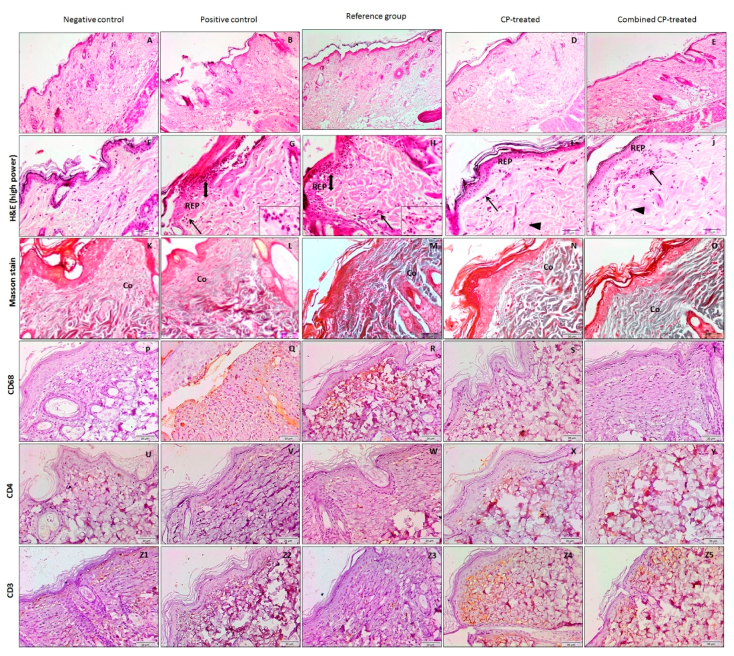Nutrients 14 03336 g005 550