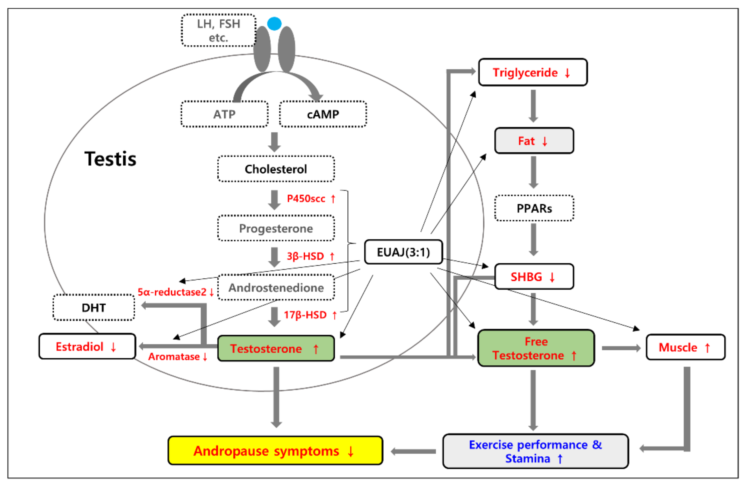 Nutrients 14 03341 g008