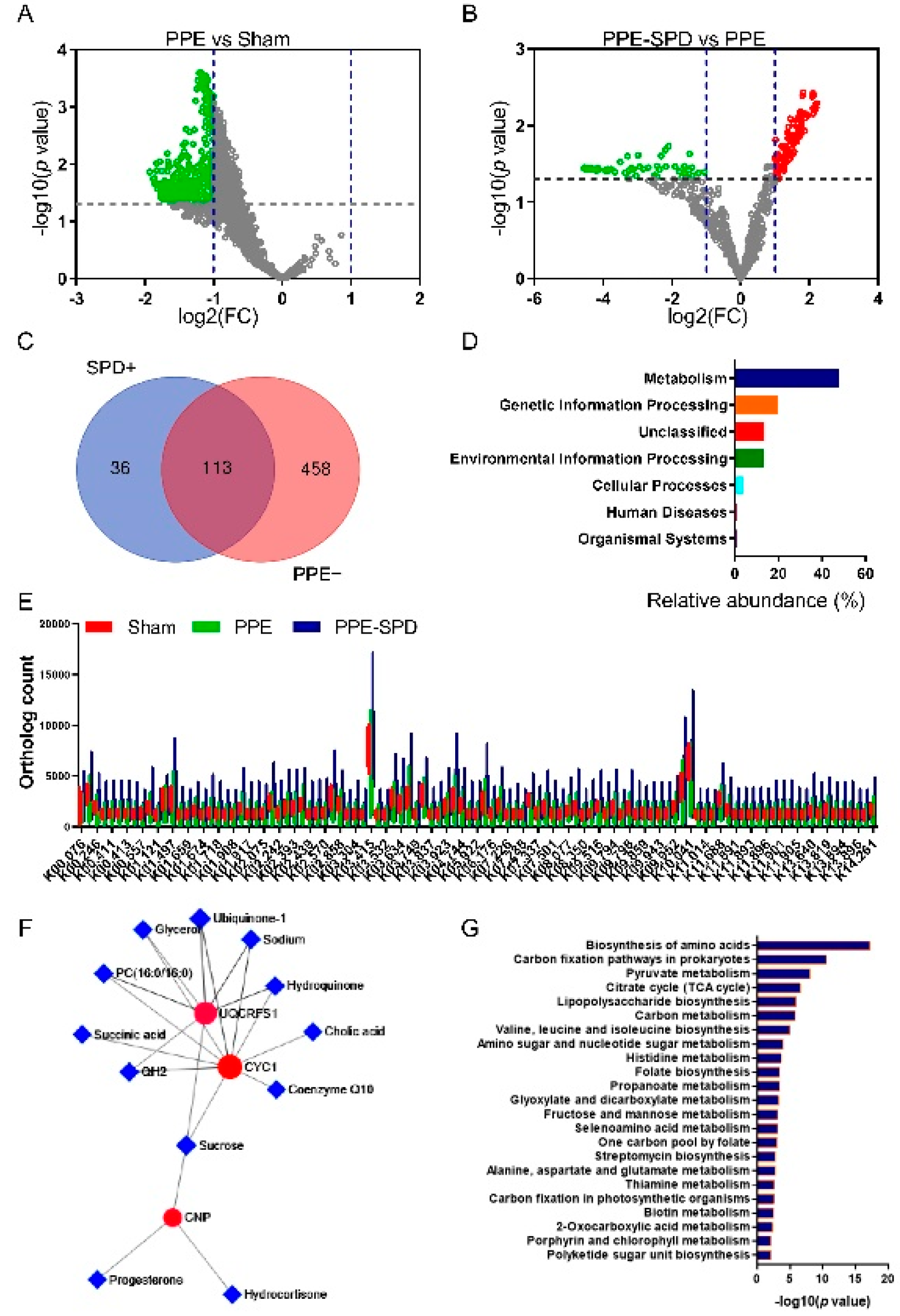 Nutrients 14 03349 g006