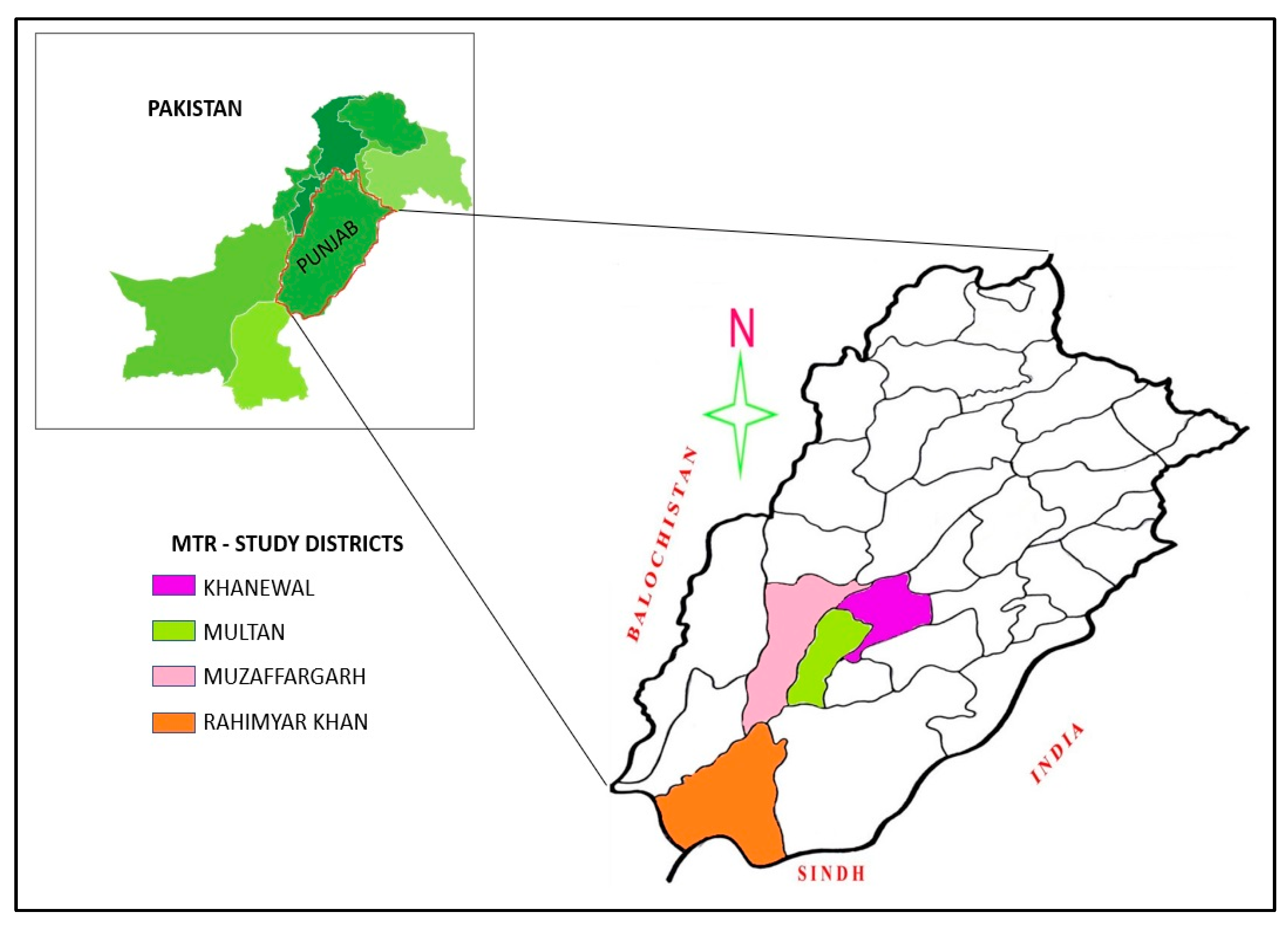 Nutrients 14 03352 g004