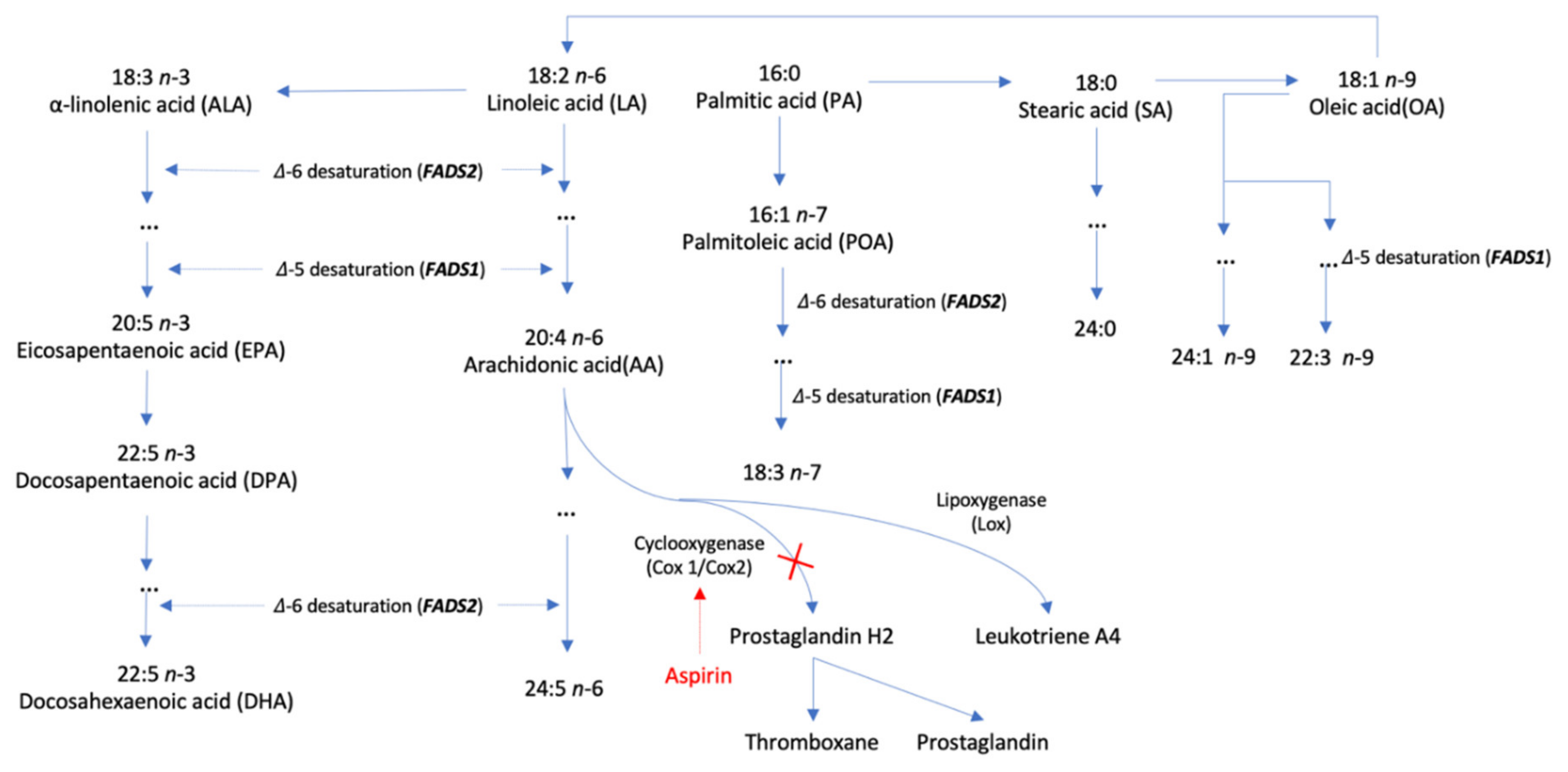 Nutrients 14 03354 g001