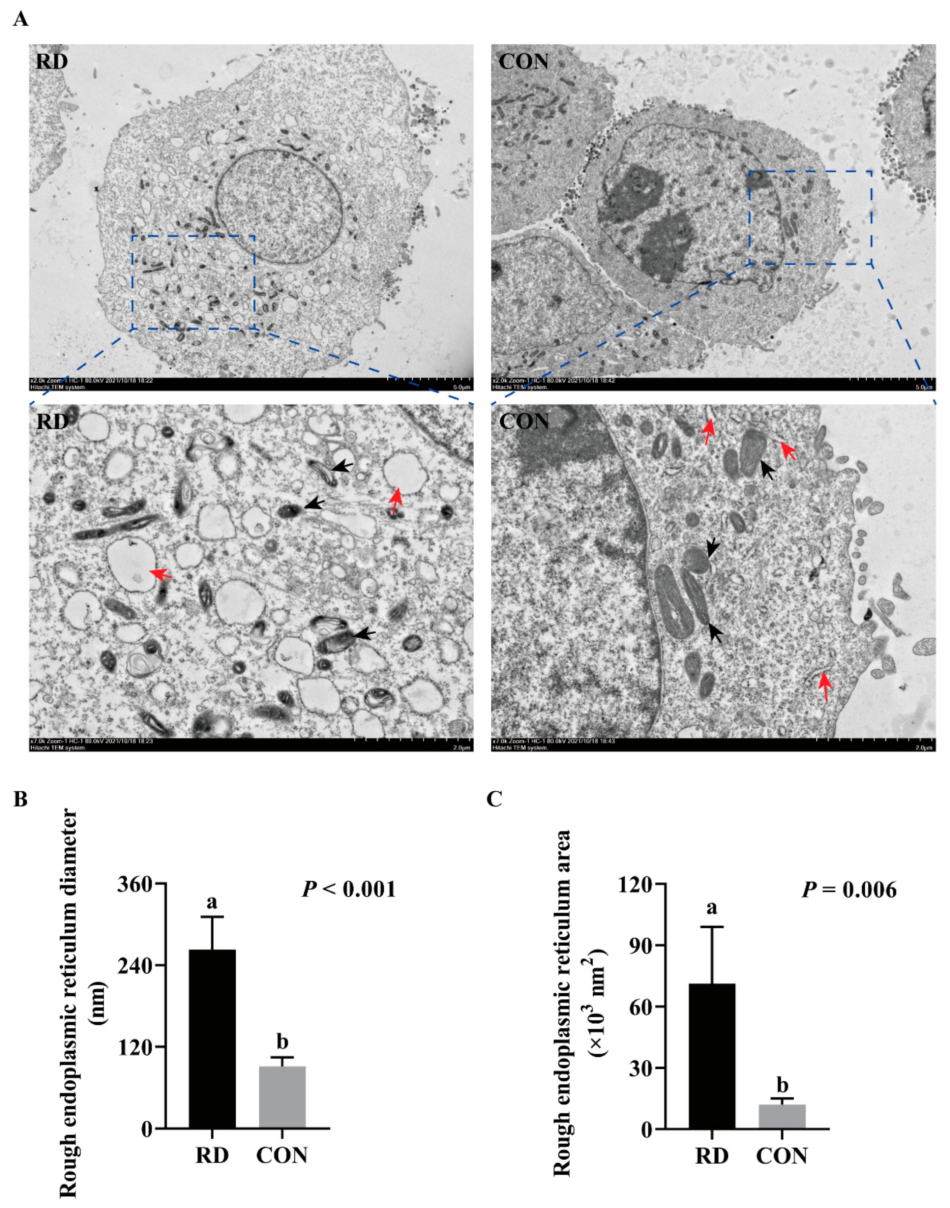 Nutrients 14 03356 g003 Nutrients 14 03356 g003