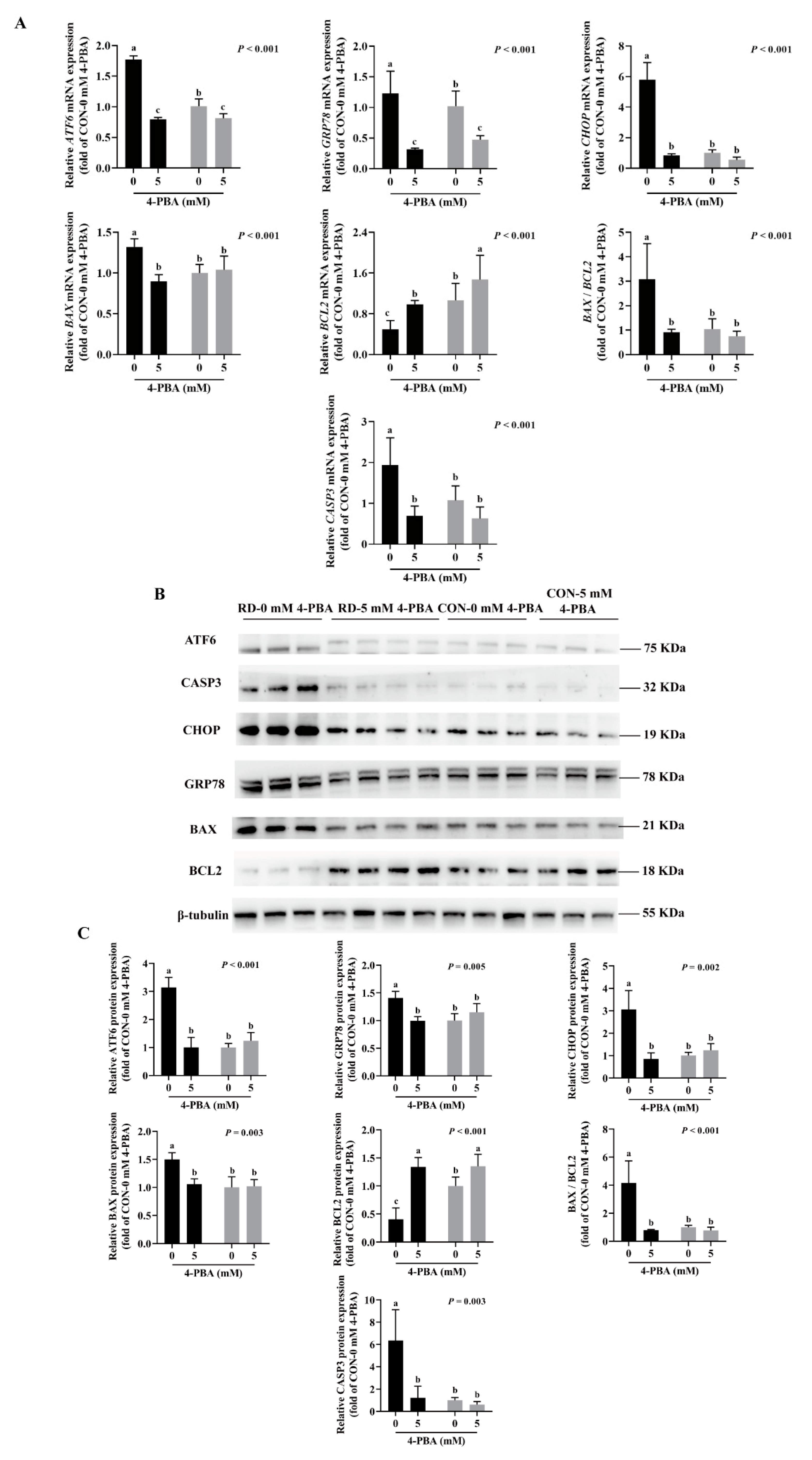 Nutrients 14 03356 g007 Nutrients 14 03356 g007
