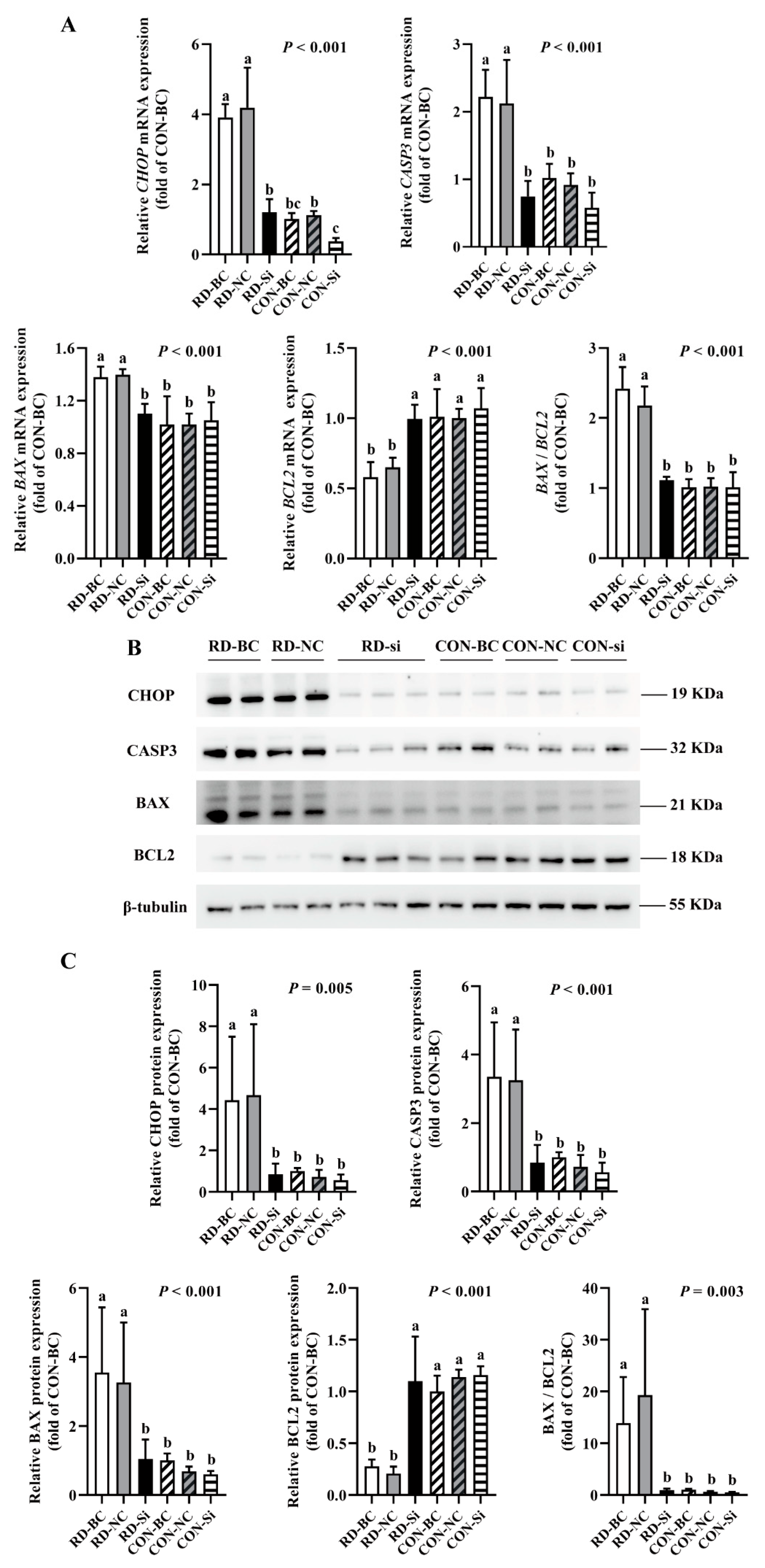 Nutrients 14 03356 g009 Nutrients 14 03356 g009