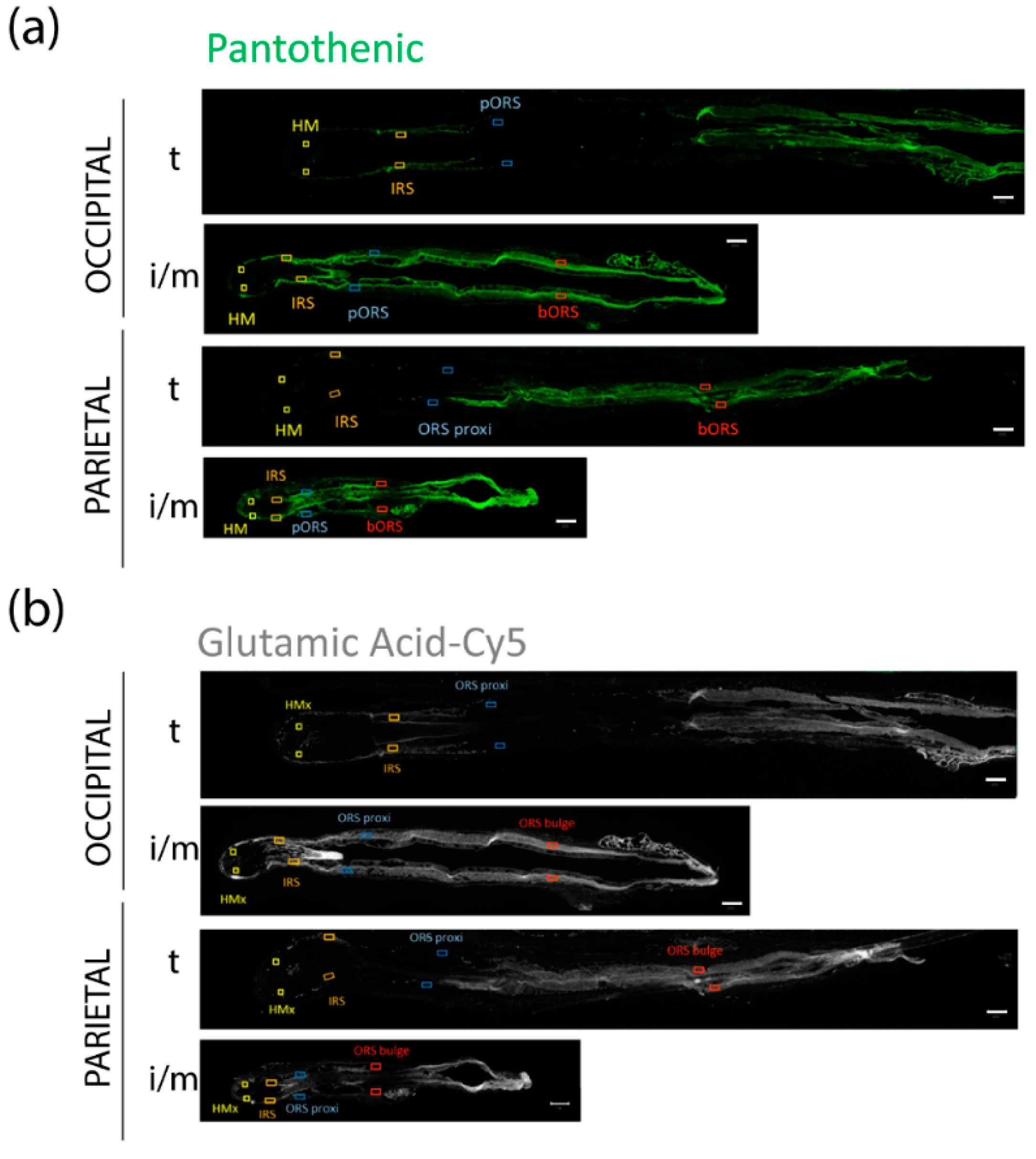 Nutrients 14 03357 g006a